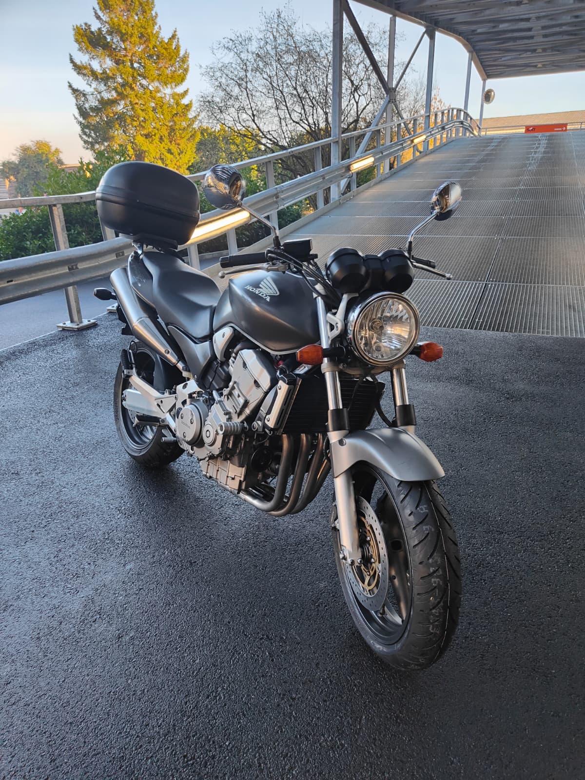 HONDA CB 900 F Hornet-image-3