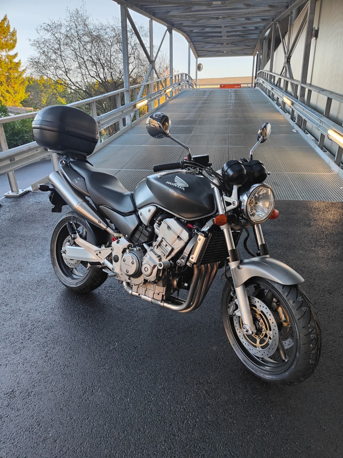 HONDA CB 900 F Hornet-image-0