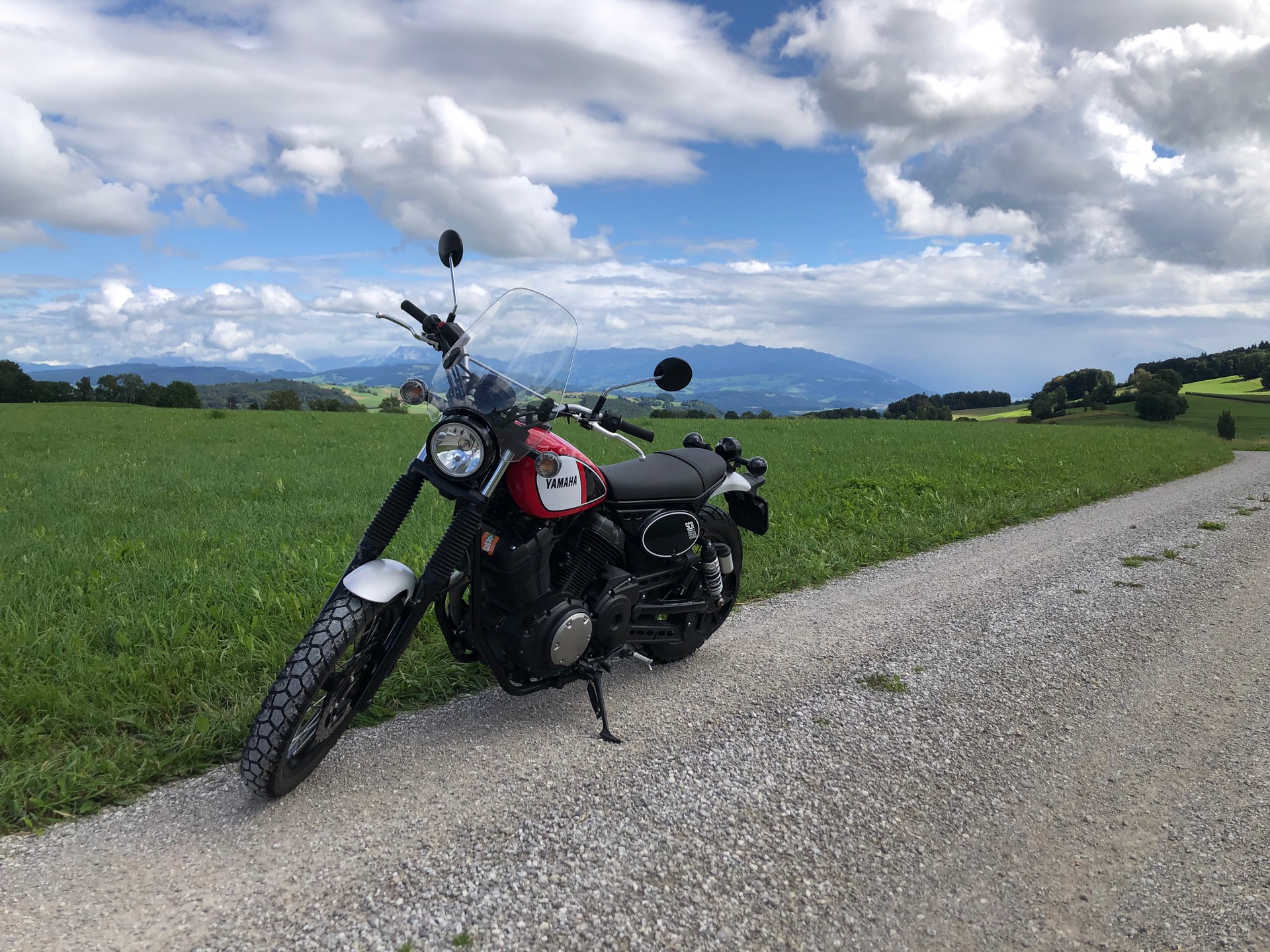 YAMAHA SCR 950 ABS-image-8
