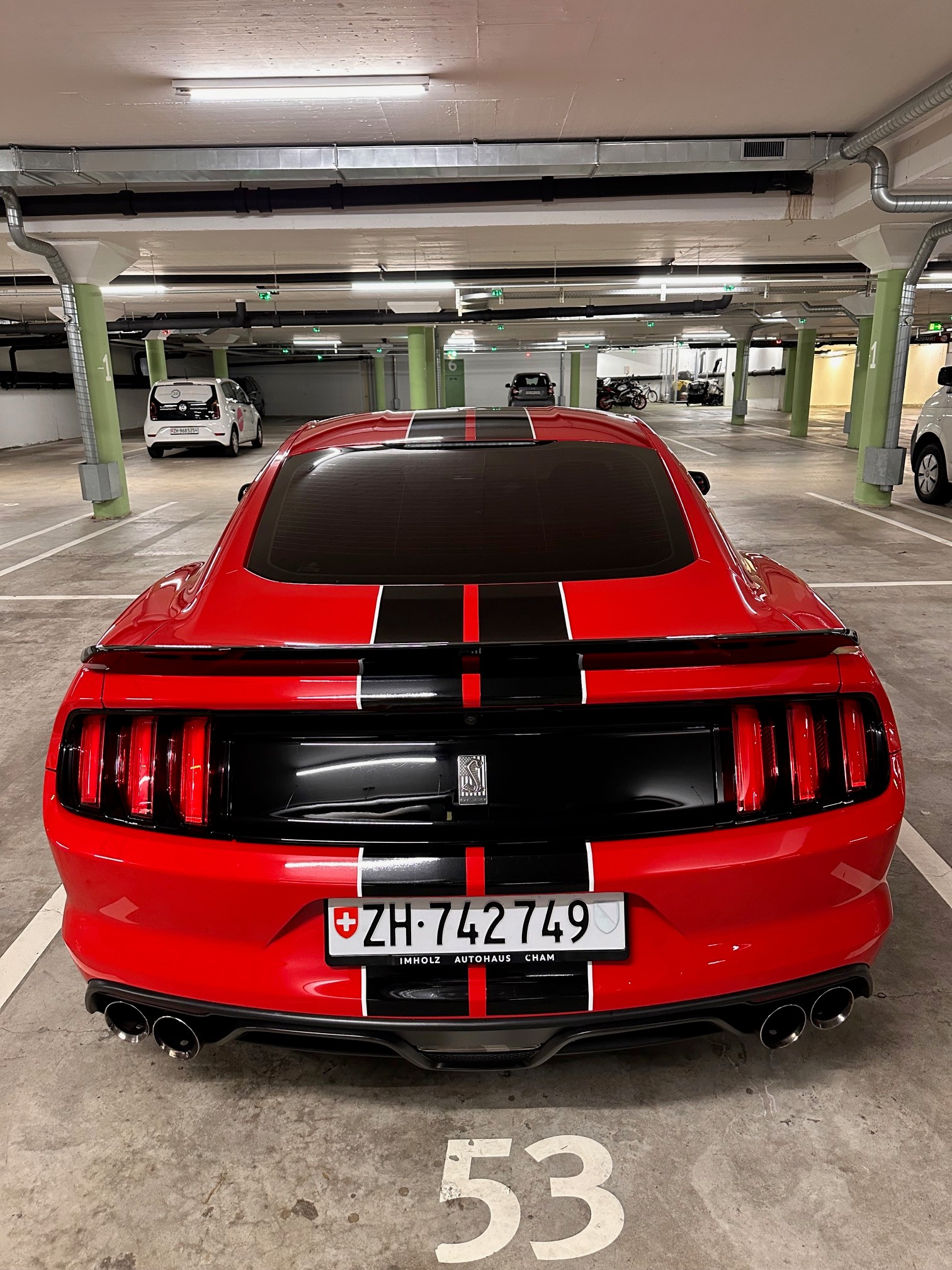 FORD Shelby GT350-image-7