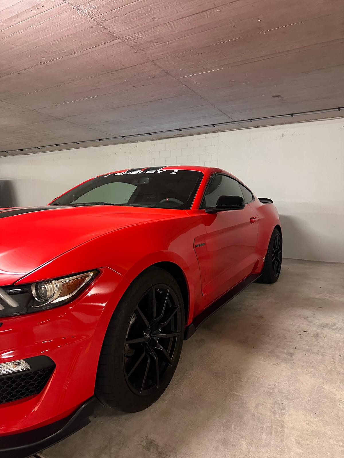 FORD Shelby GT350 *Recaro Edition*-image-6
