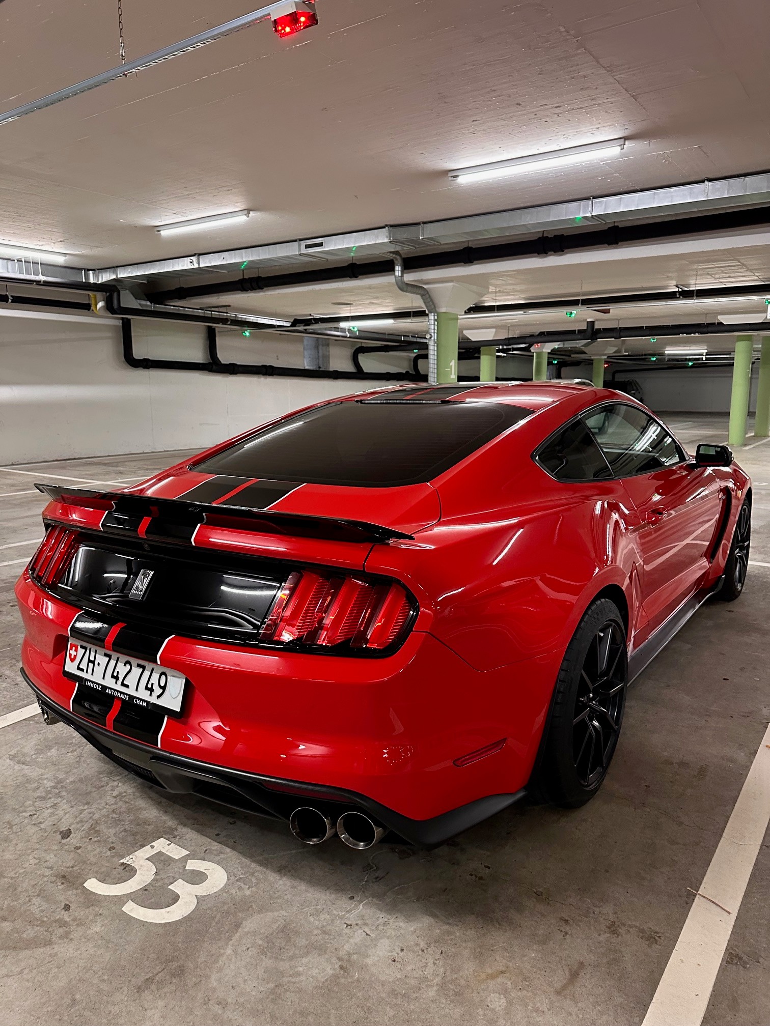 FORD Shelby GT350-image-6