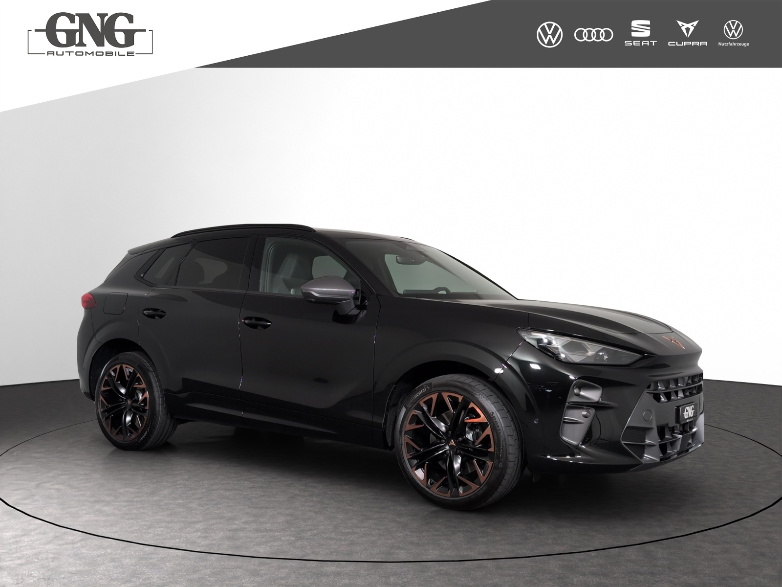 CUPRA Terramar 2.0 TSI DSG Prime Edition VZ 4Drive-image-3