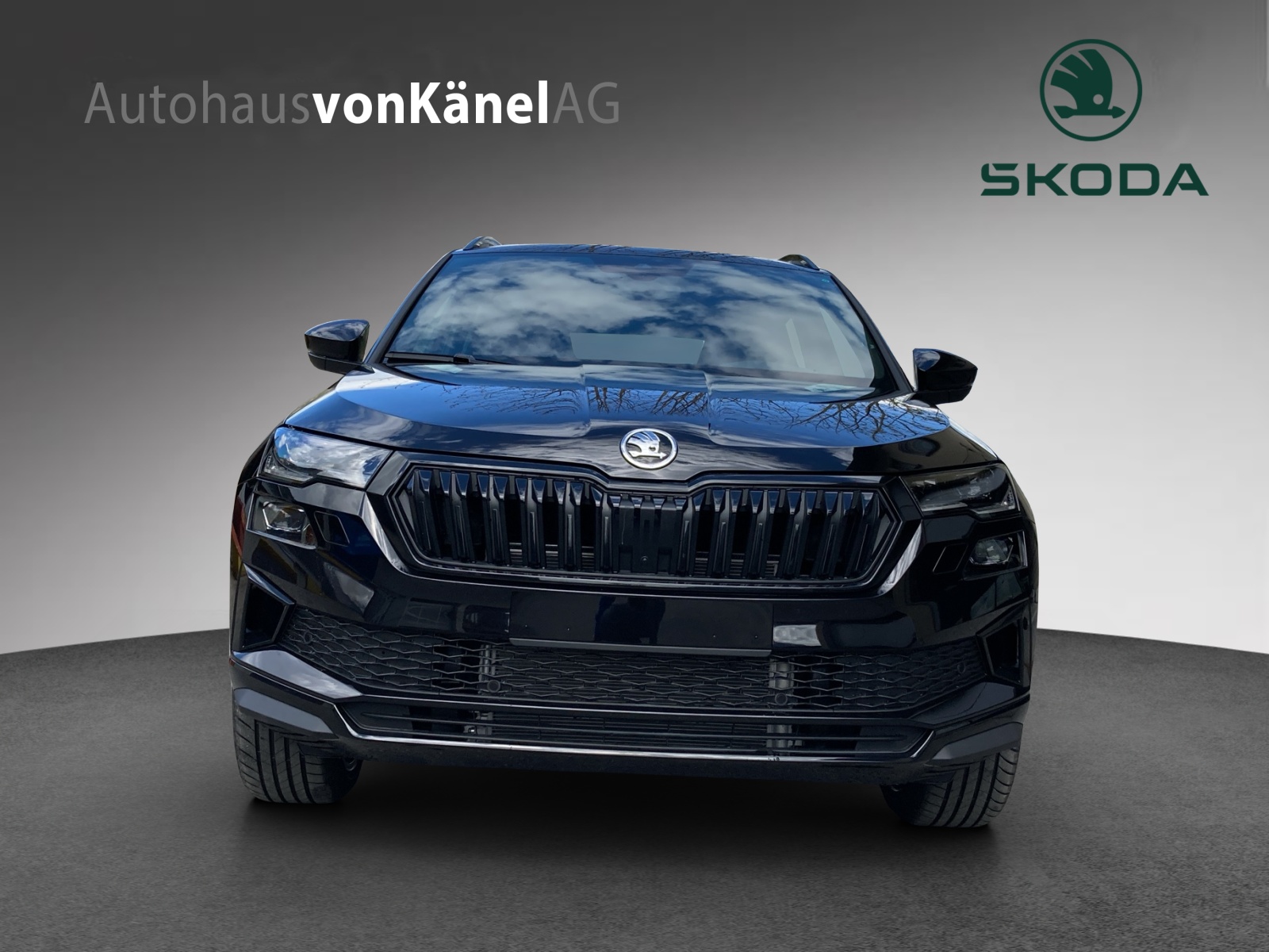 SKODA Karoq 2.0 TSI SportLine 4x4 DSG-showroom-element-3