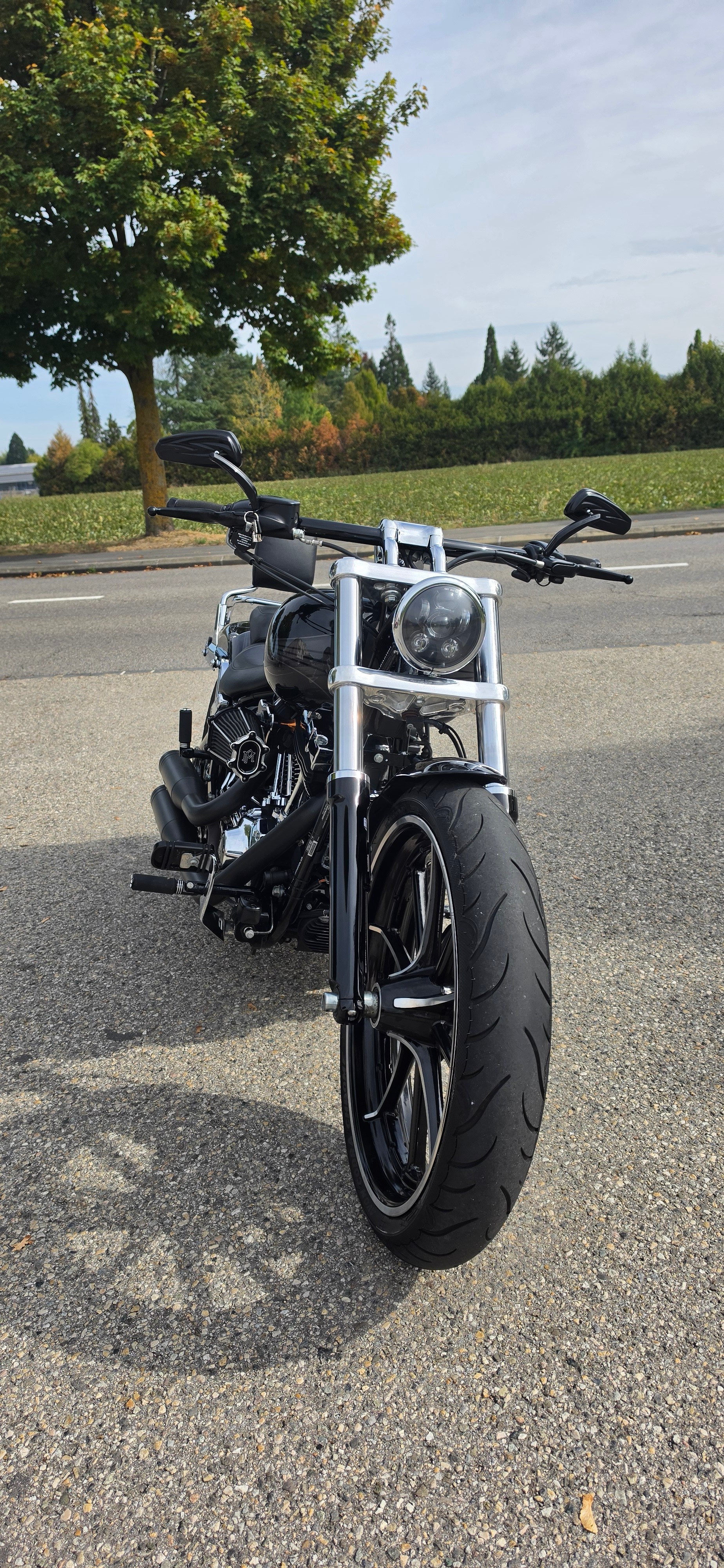 HARLEY-DAVIDSON FXSB Breakout 103 ABS-image-2