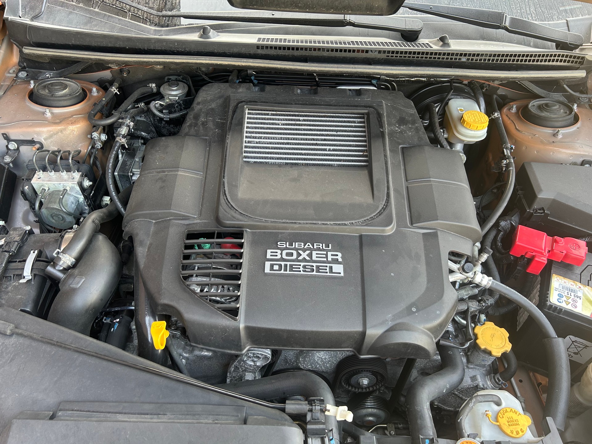 SUBARU XV 2.0D Swiss One AWD-image-15