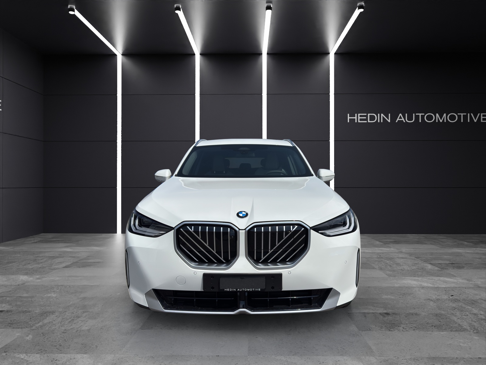 BMW X3 xDrive 48V 20d-showroom-element-1