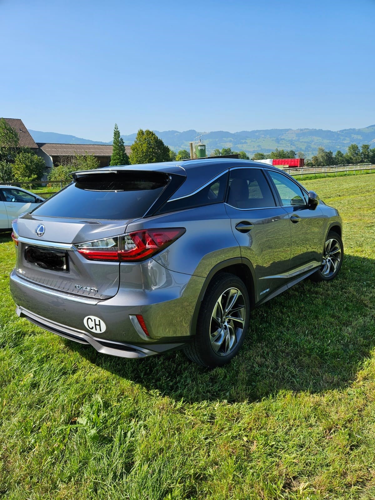 LEXUS RX 450h excellence AWD CVT-image-2