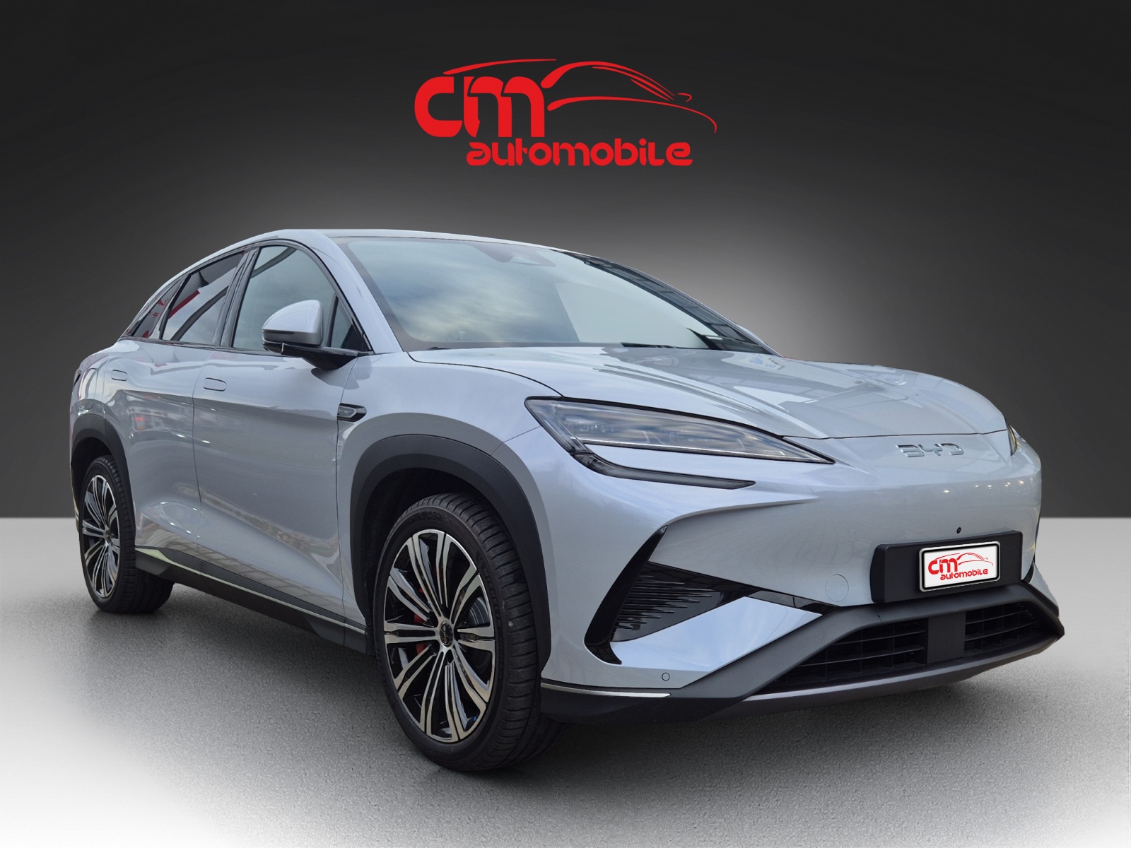 BYD Sealion 7 91,3 kWh Excellence AWD-image-8