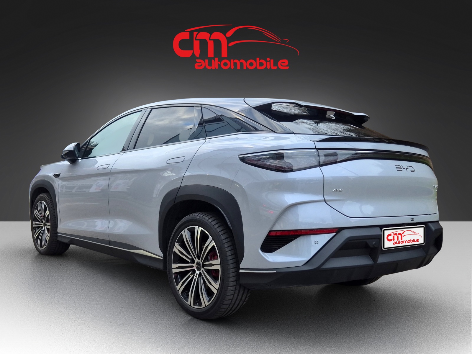 BYD Sealion 7 91,3 kWh Excellence AWD-showroom-element-2