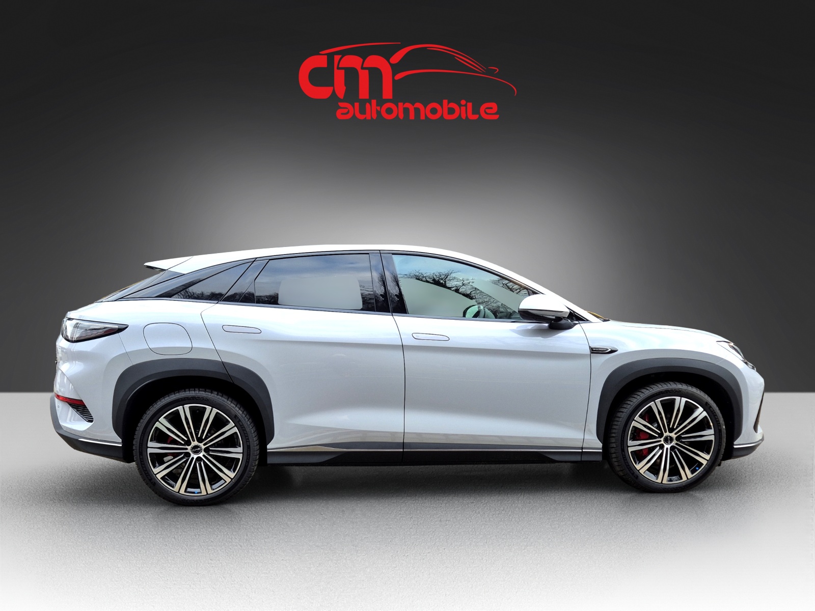 BYD Sealion 7 91,3 kWh Excellence AWD-image-7