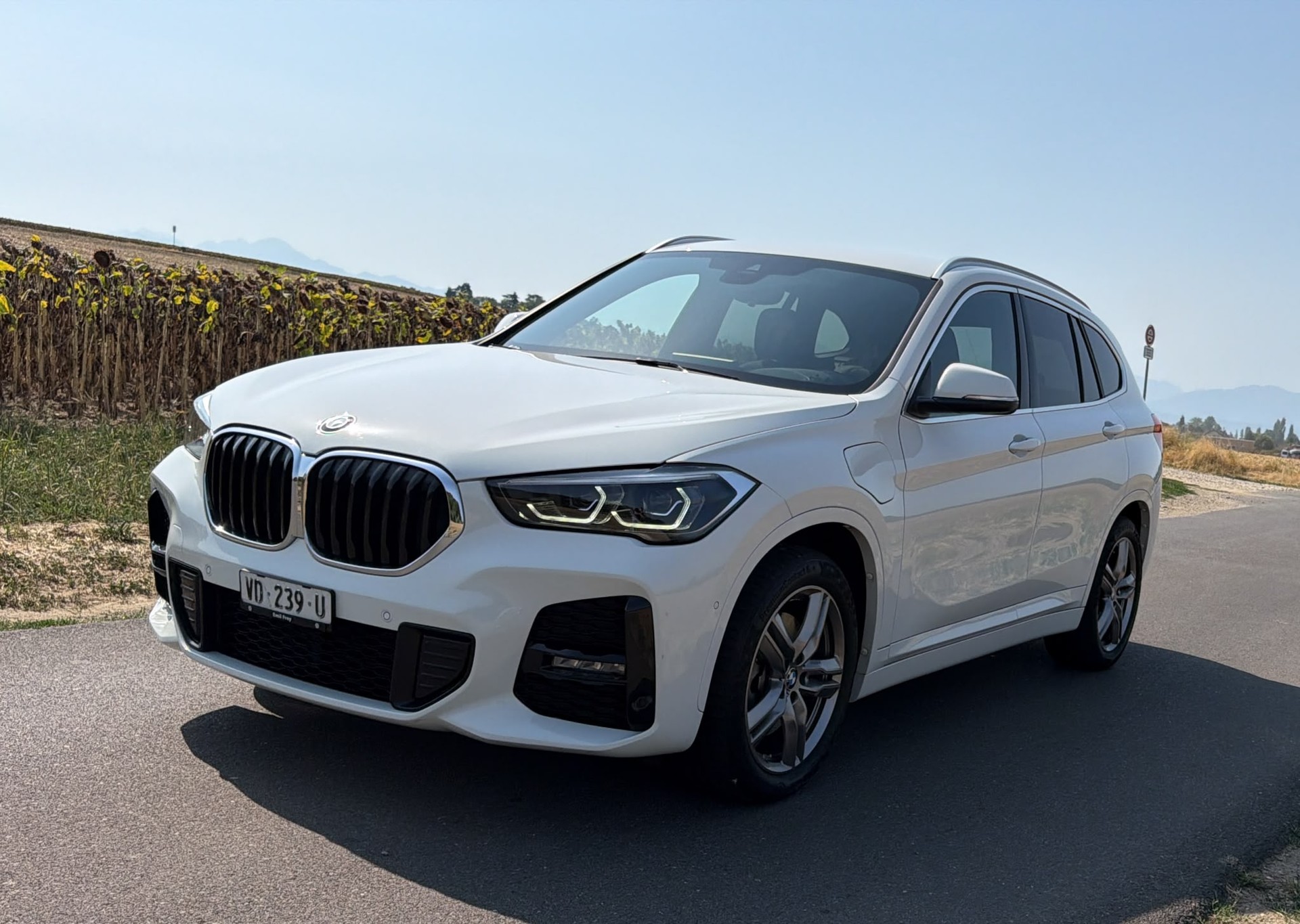 BMW X1 xDrive 25e M Sport Fleet Edition Steptronic-image-2