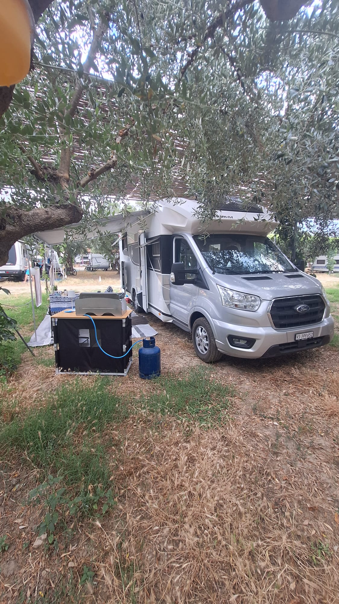 BENIMAR Tessoro T463-image-2