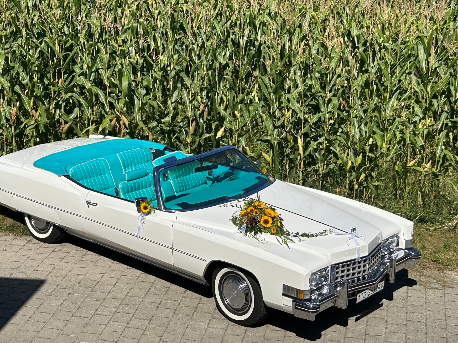 CADILLAC ELDORADO-image-3