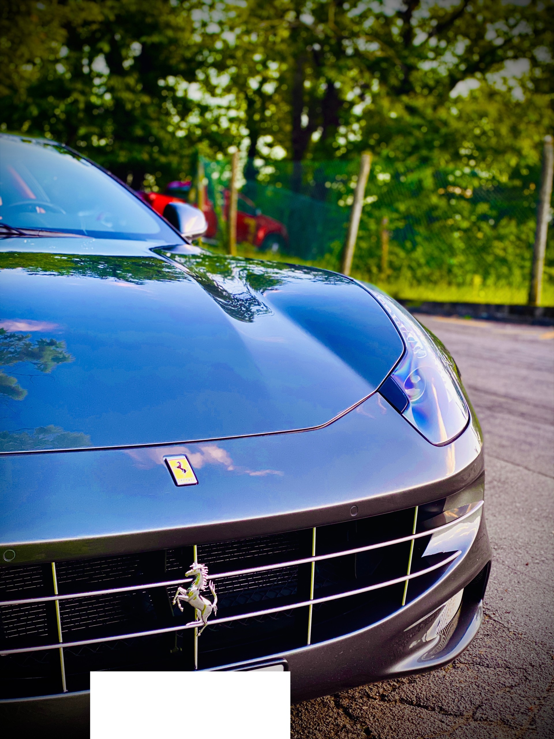 FERRARI FF