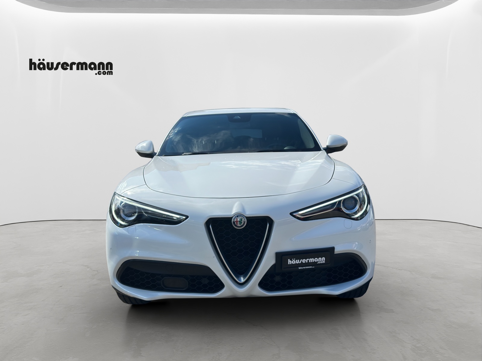 ALFA ROMEO Stelvio 2.0 Q4 280 Super-showroom-element-1