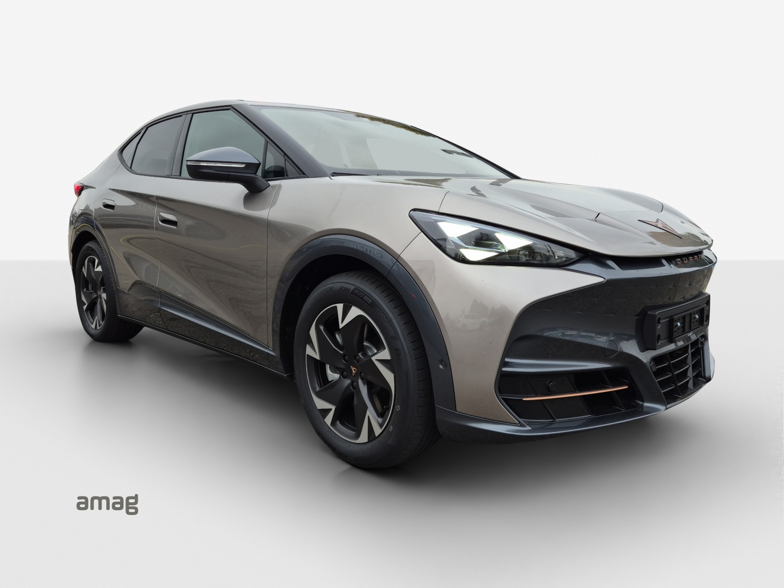 CUPRA Tavascan Type 4 77 kWh Endurance Edge-image-5