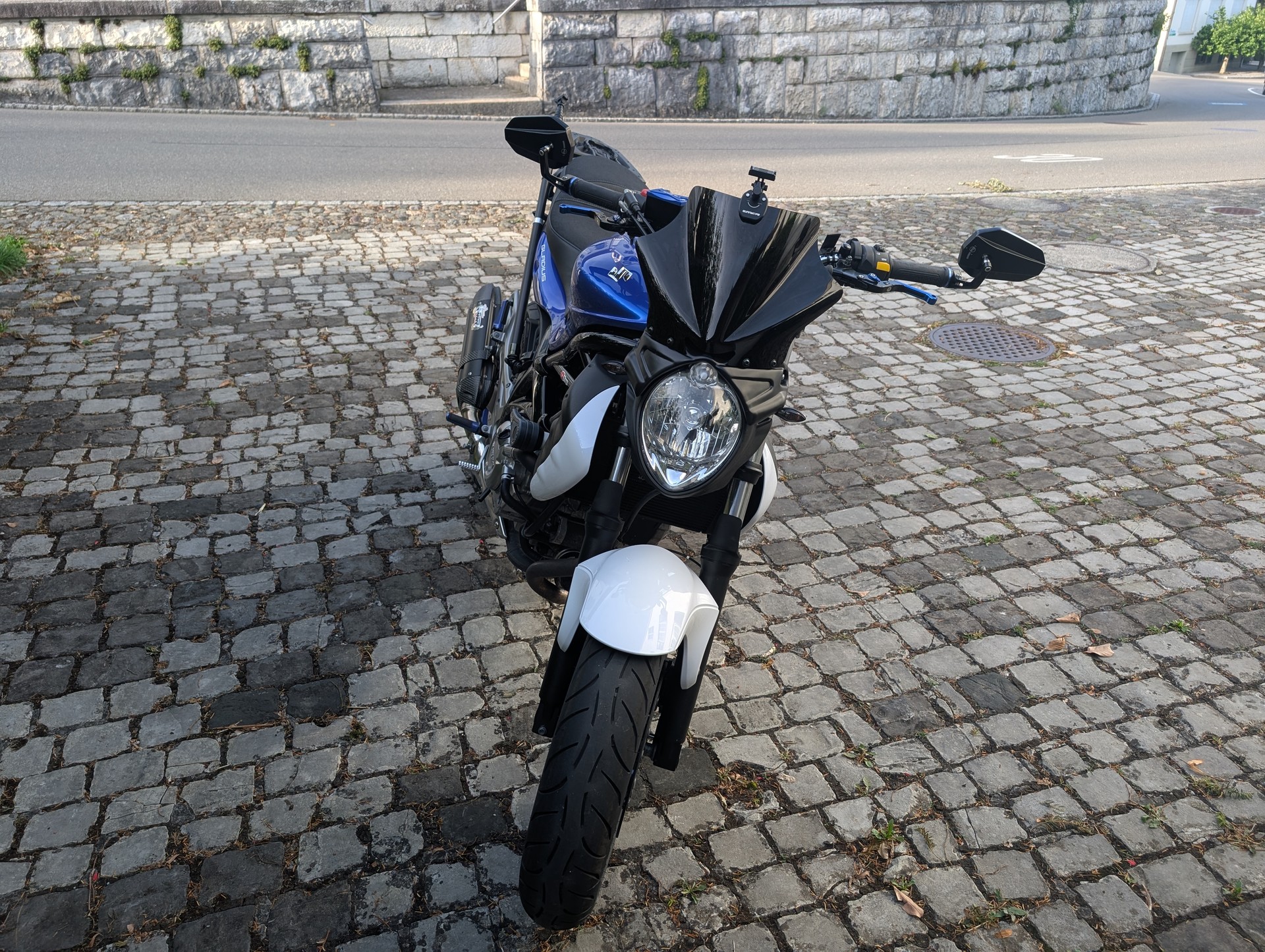 SUZUKI SFV 650 Gladius ABS (25kW)-image-1