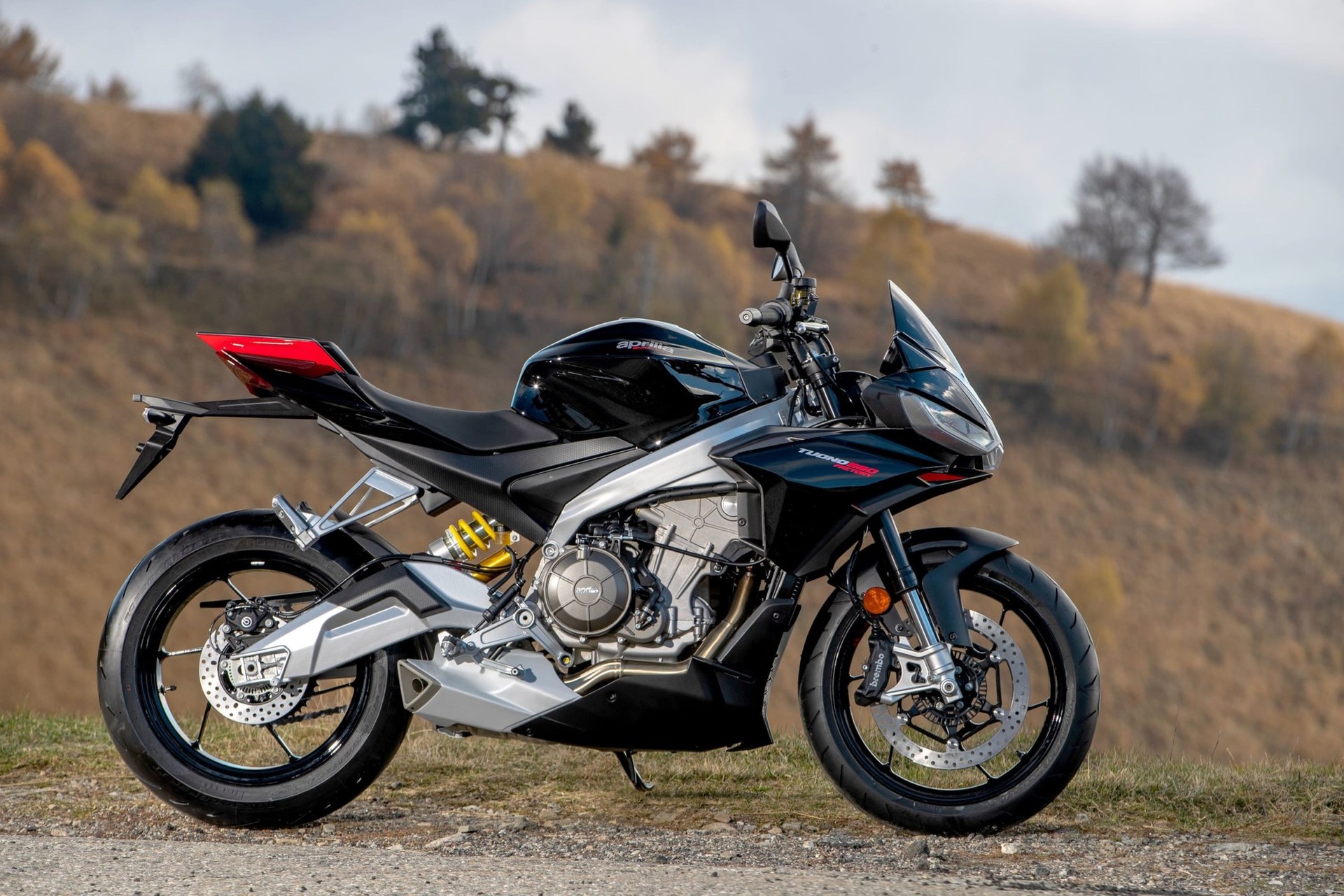 APRILIA Tuono 660 Factory-image-2
