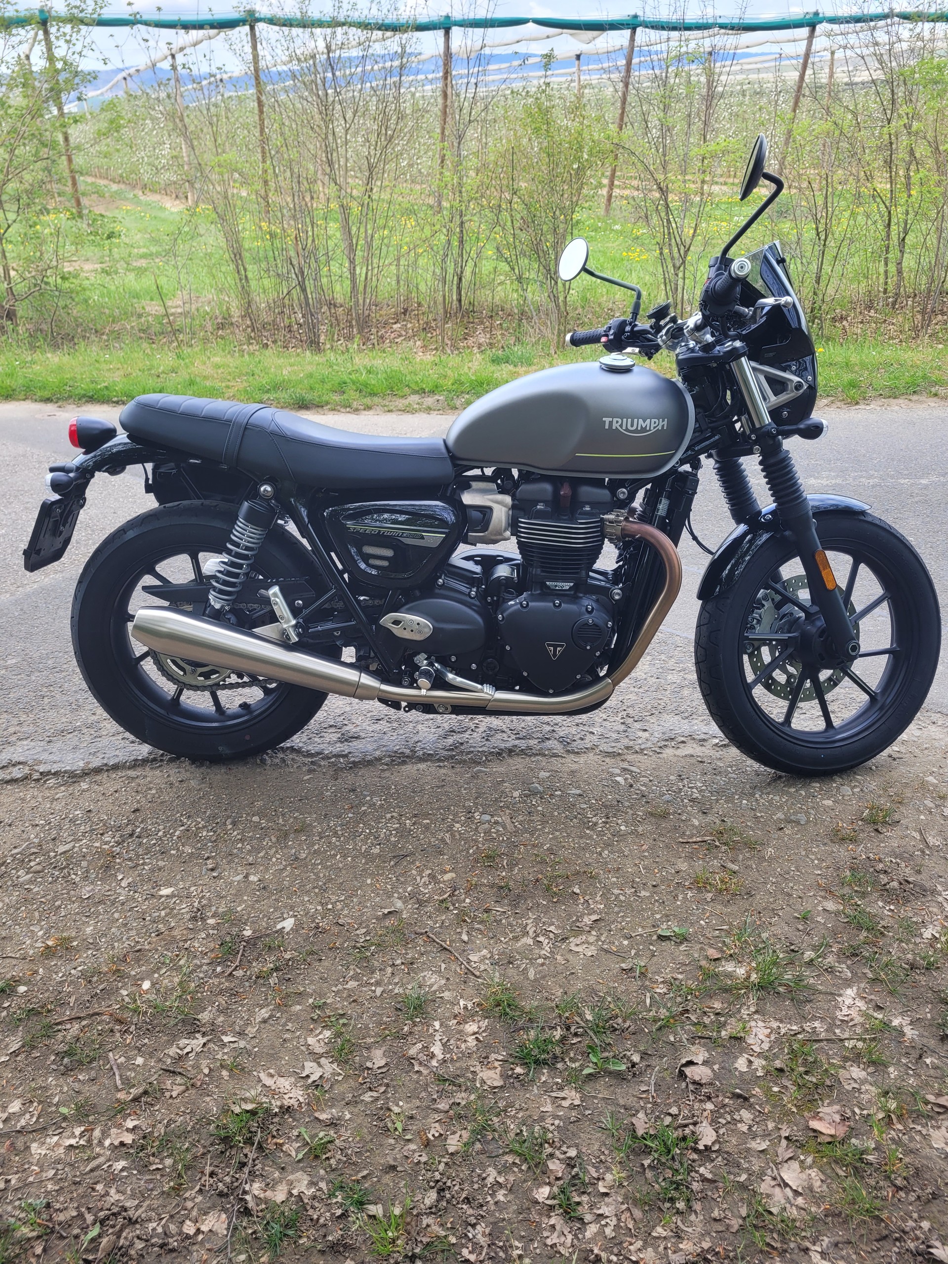 TRIUMPH Speed Twin 900-image-3