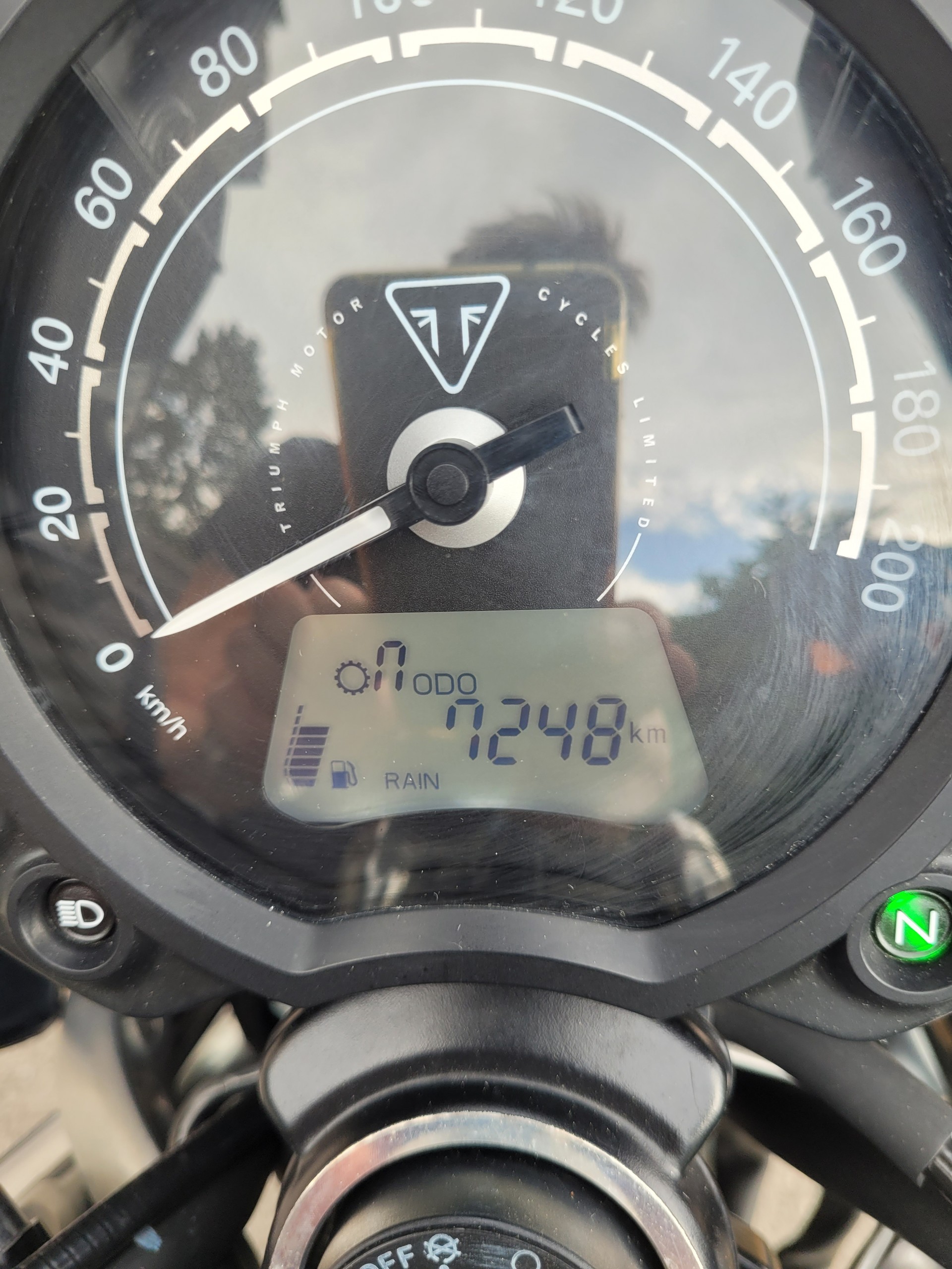 TRIUMPH Speed Twin 900-image-7