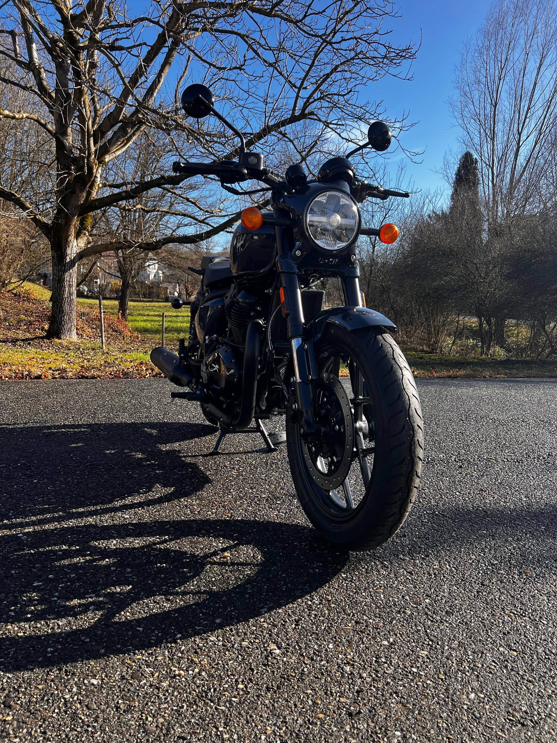ROYAL ENFIELD Shotgun 650 Single-image-2