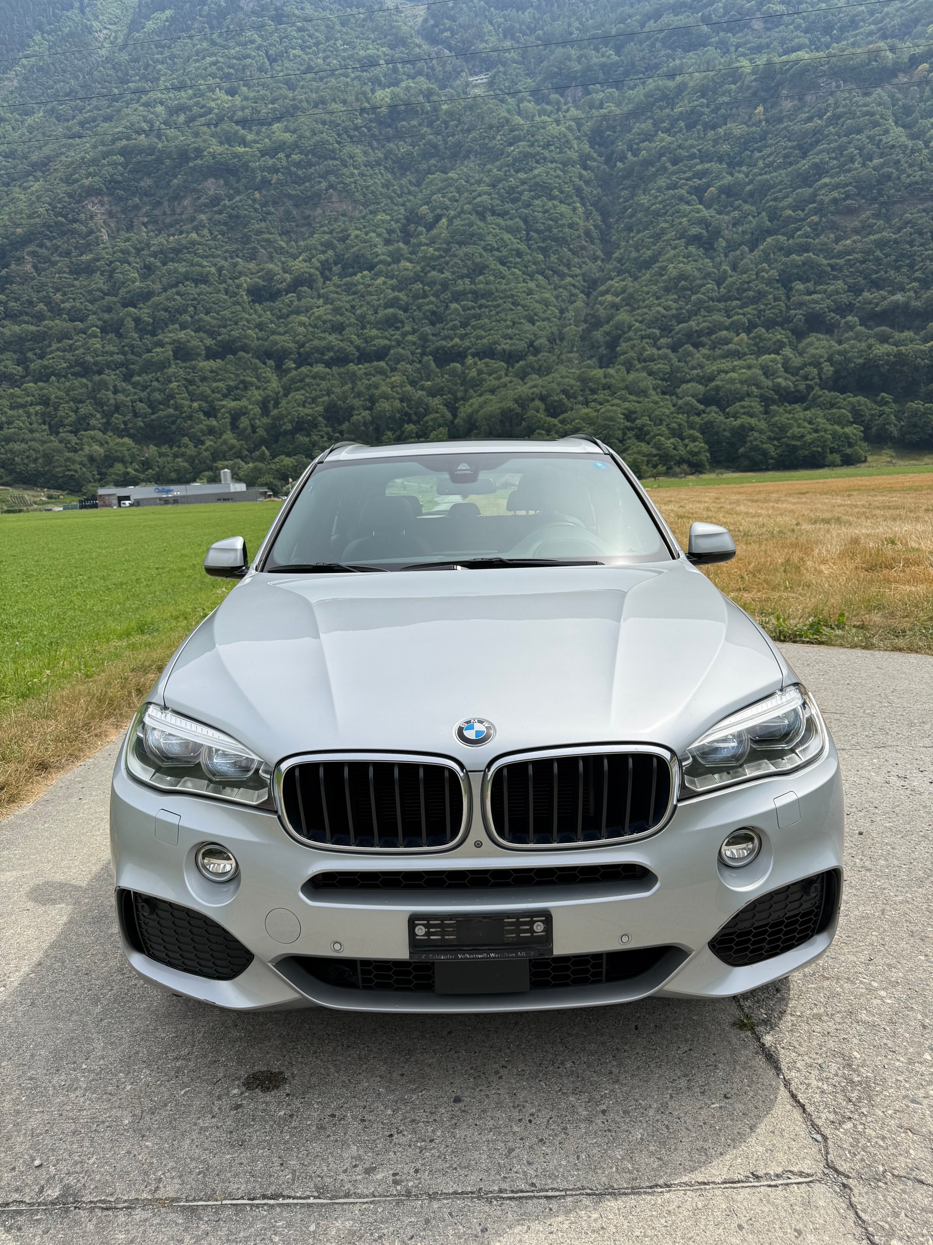 BMW X5 xDrive 30d Steptronic-image-2