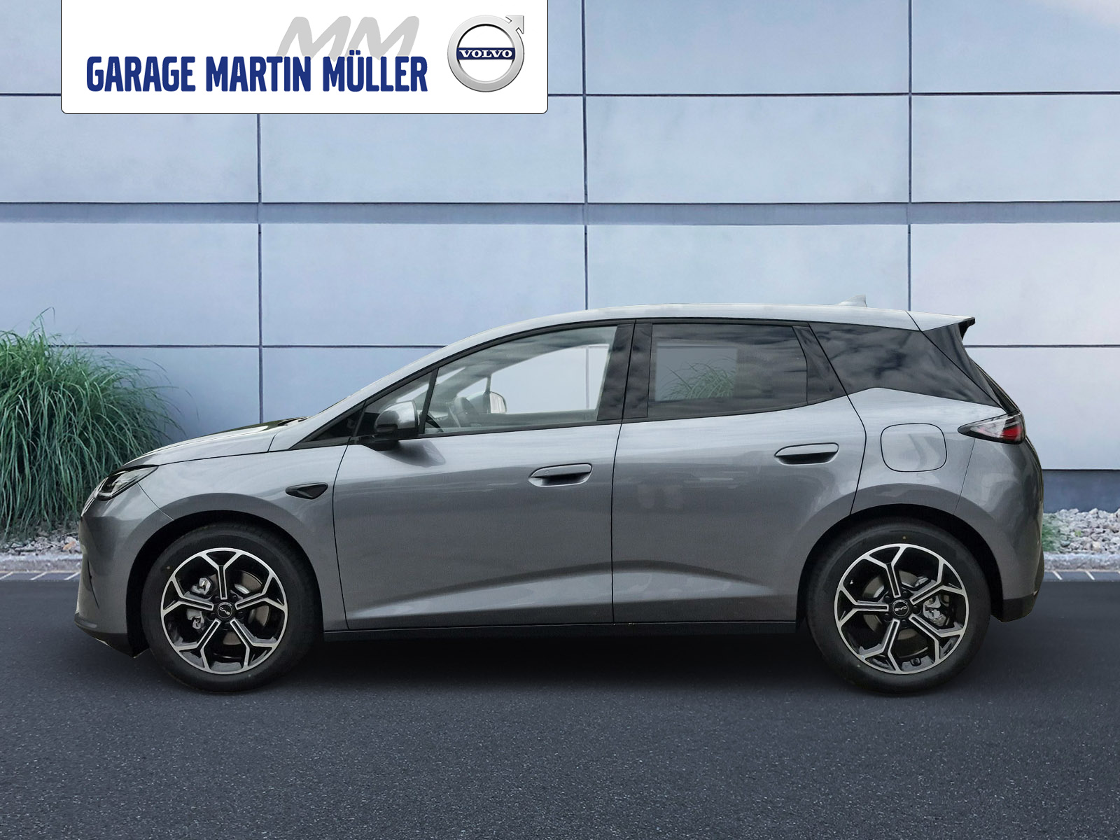 BYD Dolphin G DM-i Comfort-showroom-element-1