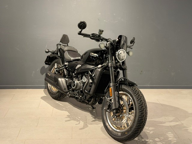 CF MOTO 450 CL-C-image-1