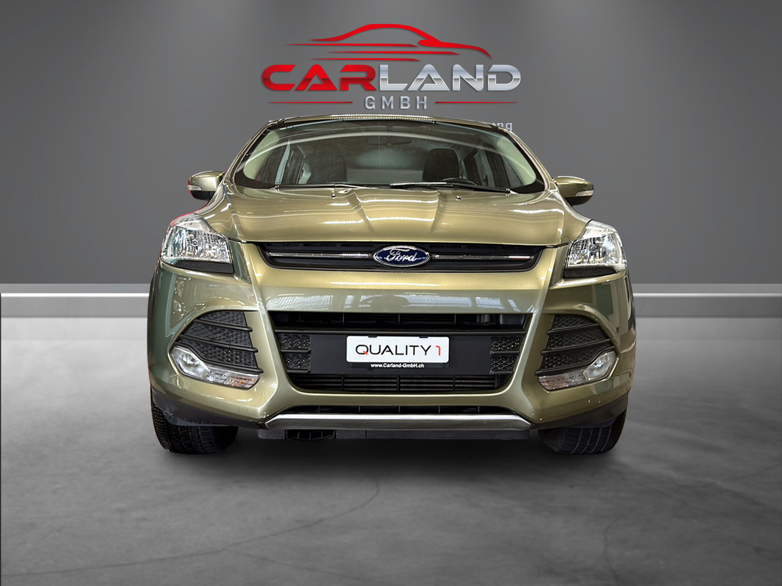 FORD Kuga 2.0 TDCi Carving 4WD PowerShift-image-7