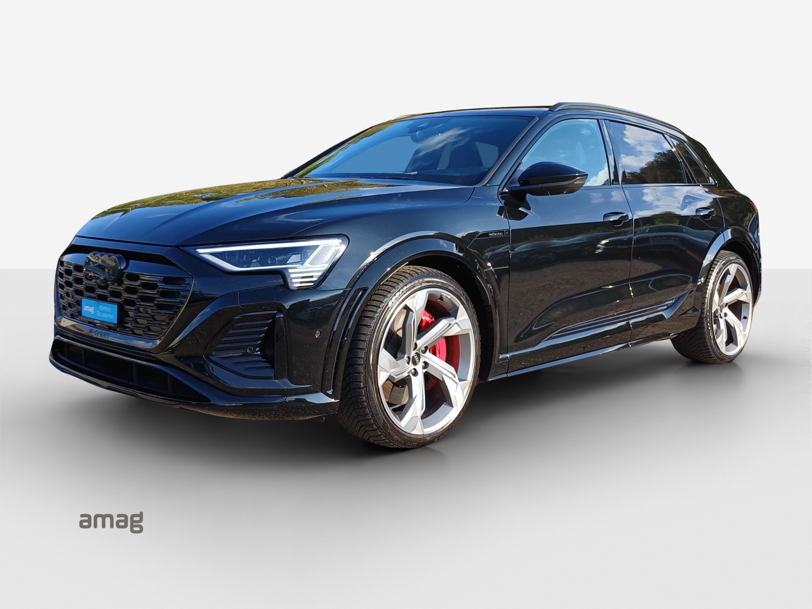 AUDI SQ8 e-tron quattro-image-0