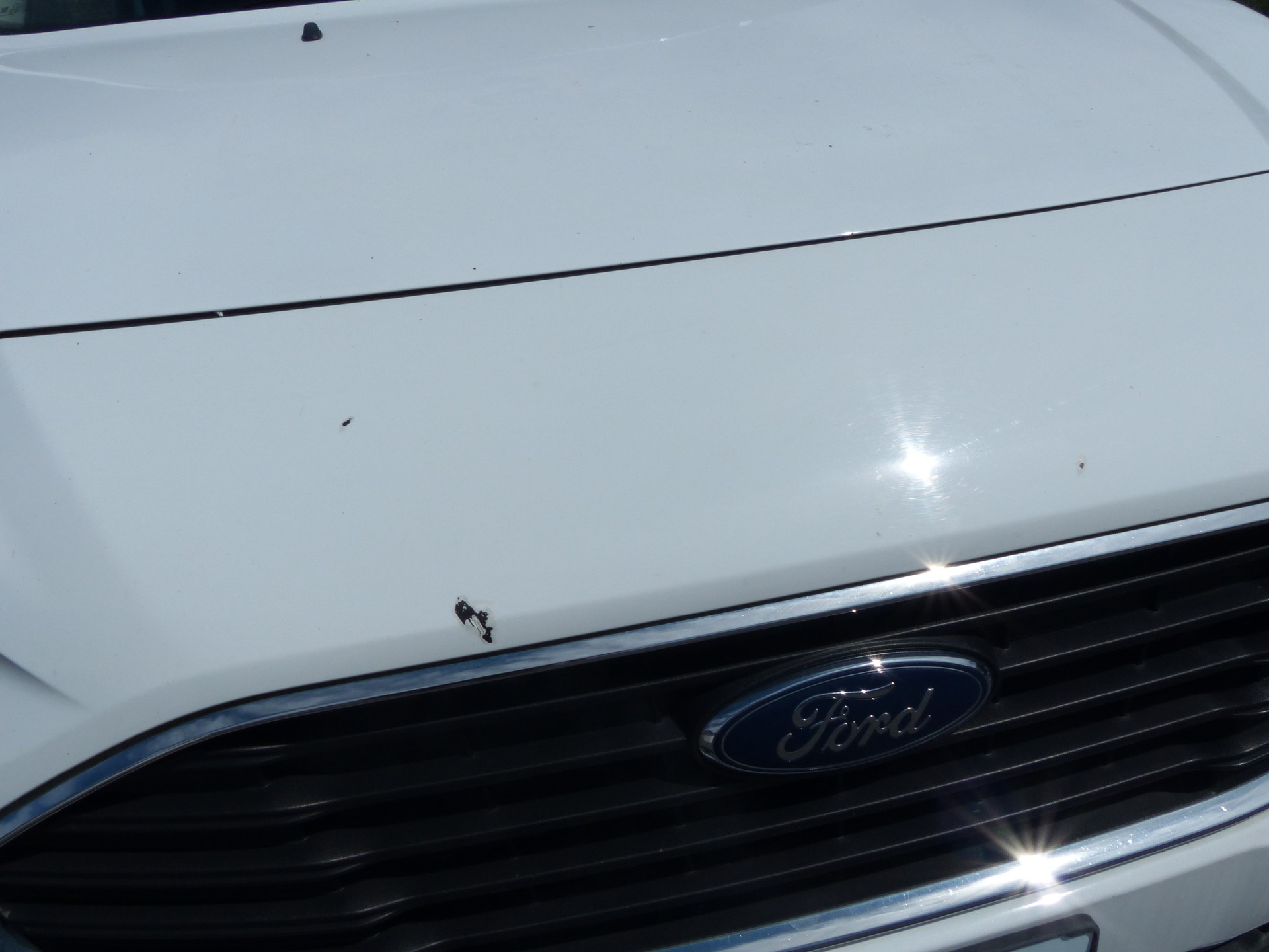 FORD Tourneo Connect 1.5 EcoBlue Trend Automat-image-26