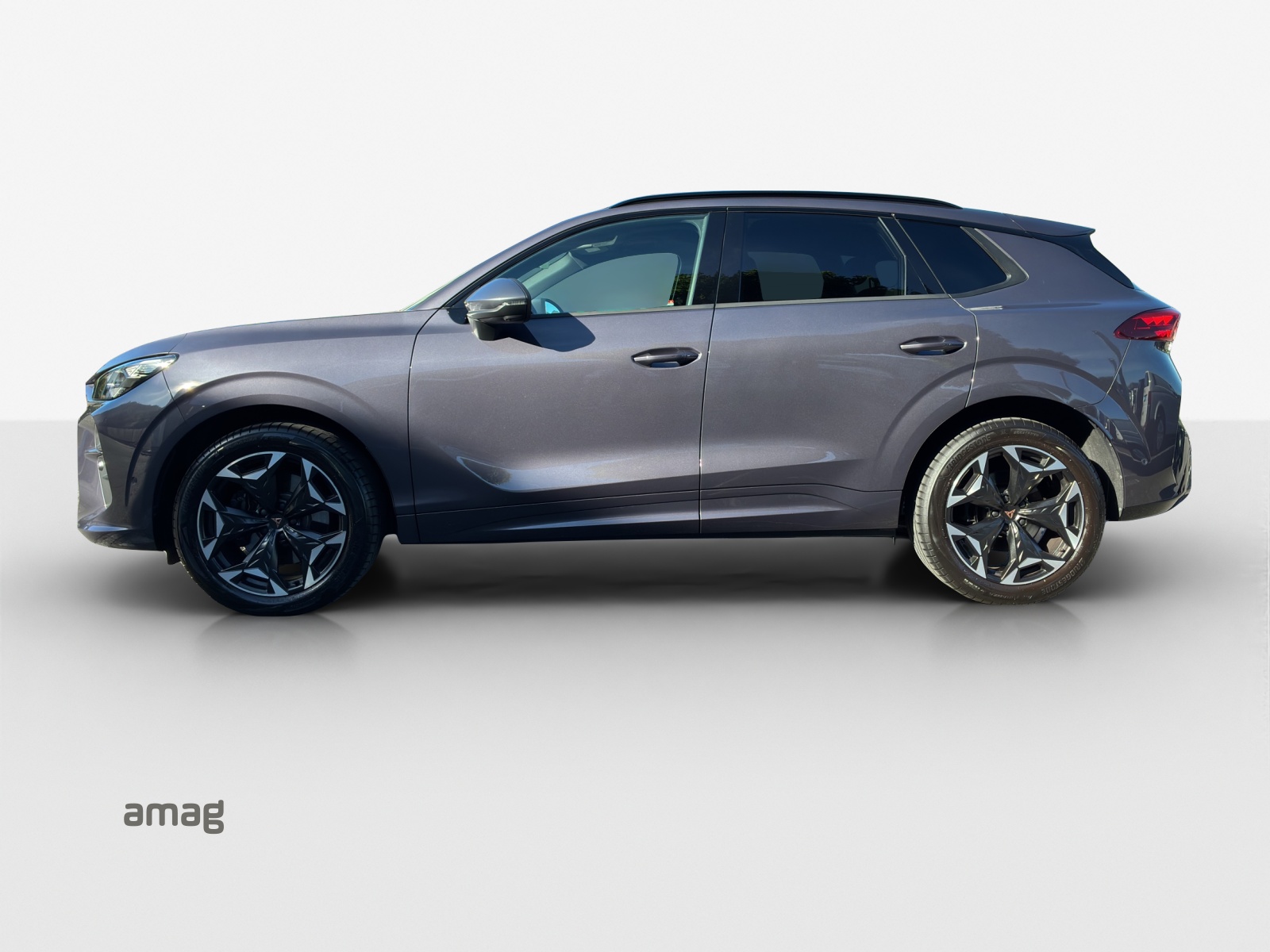 CUPRA Terramar 2.0 TSI DSG 4Drive VZ-showroom-element-1
