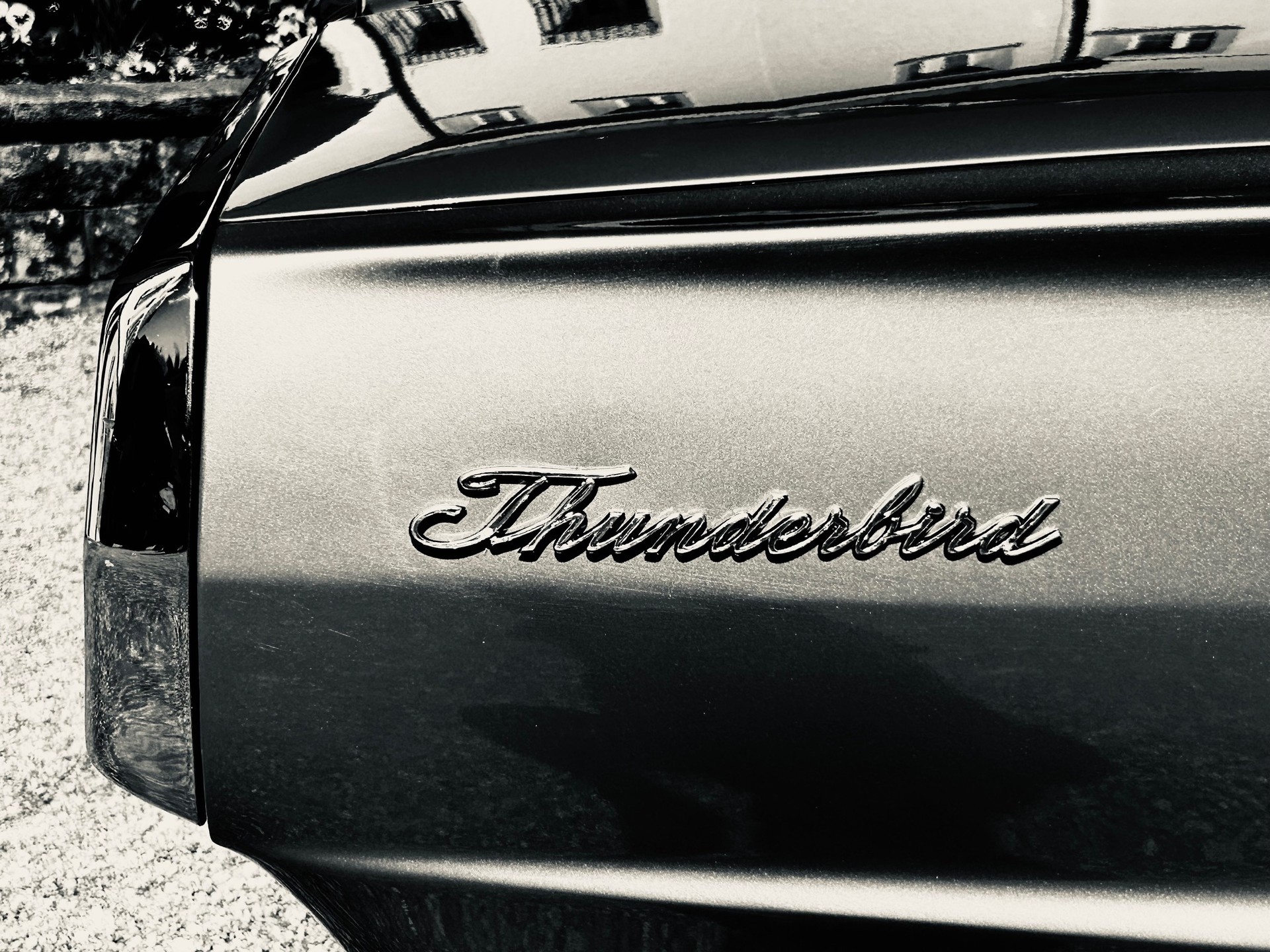 FORD Thunderbird-image-3