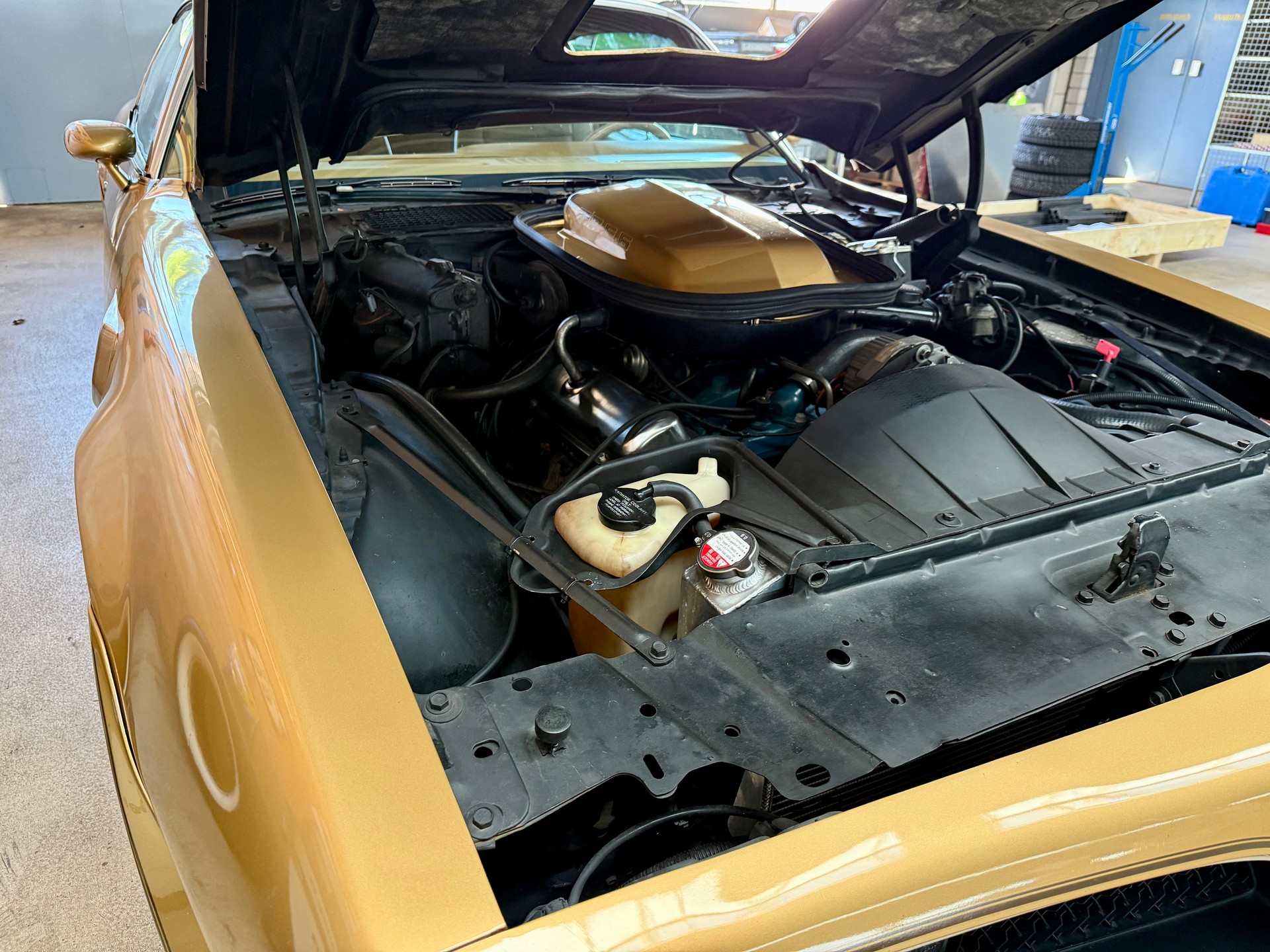 PONTIAC Firebird Trans Am Y88-image-12