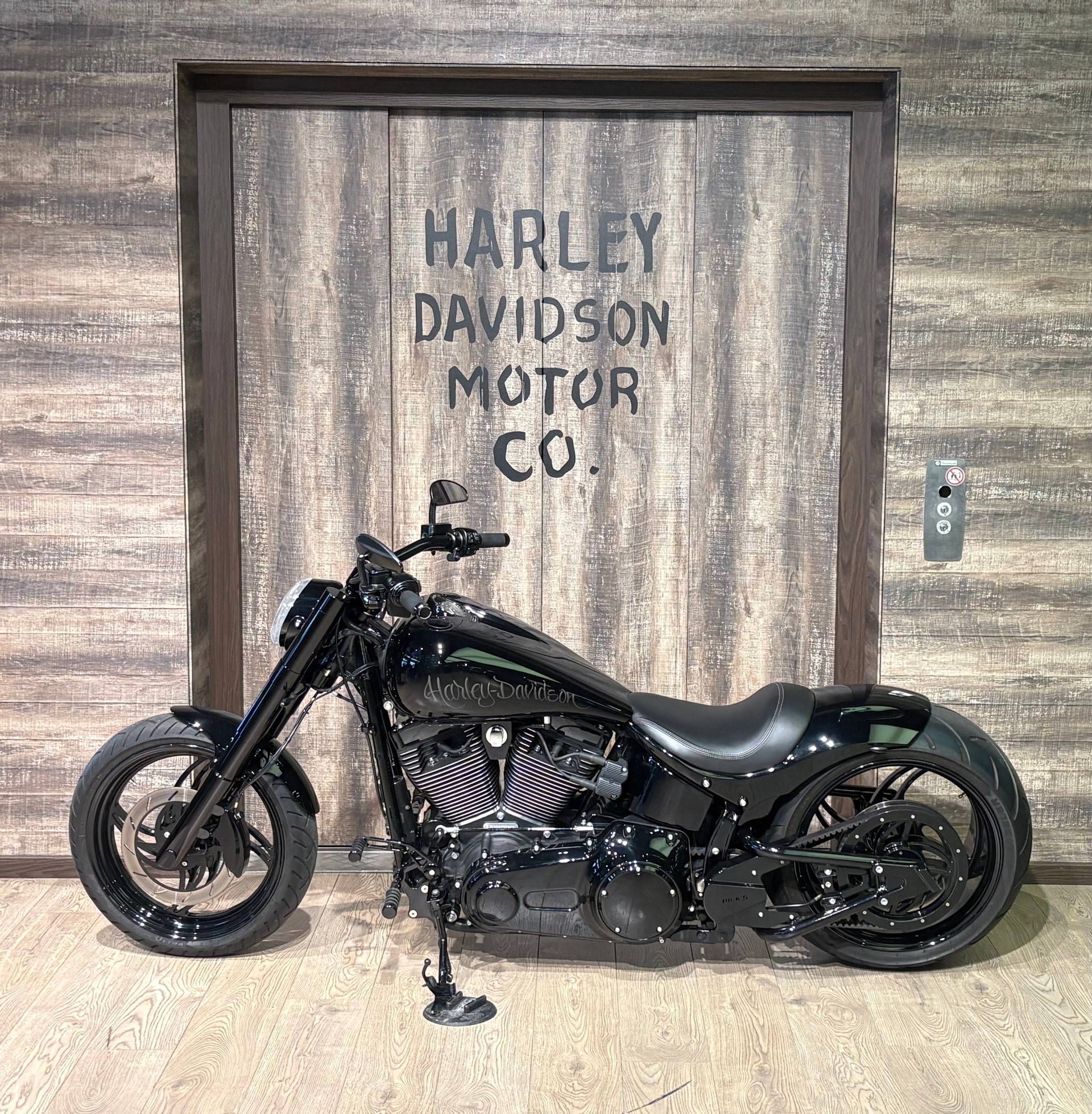 HARLEY-DAVIDSON FLSS Slim S 110 ABS-image-3