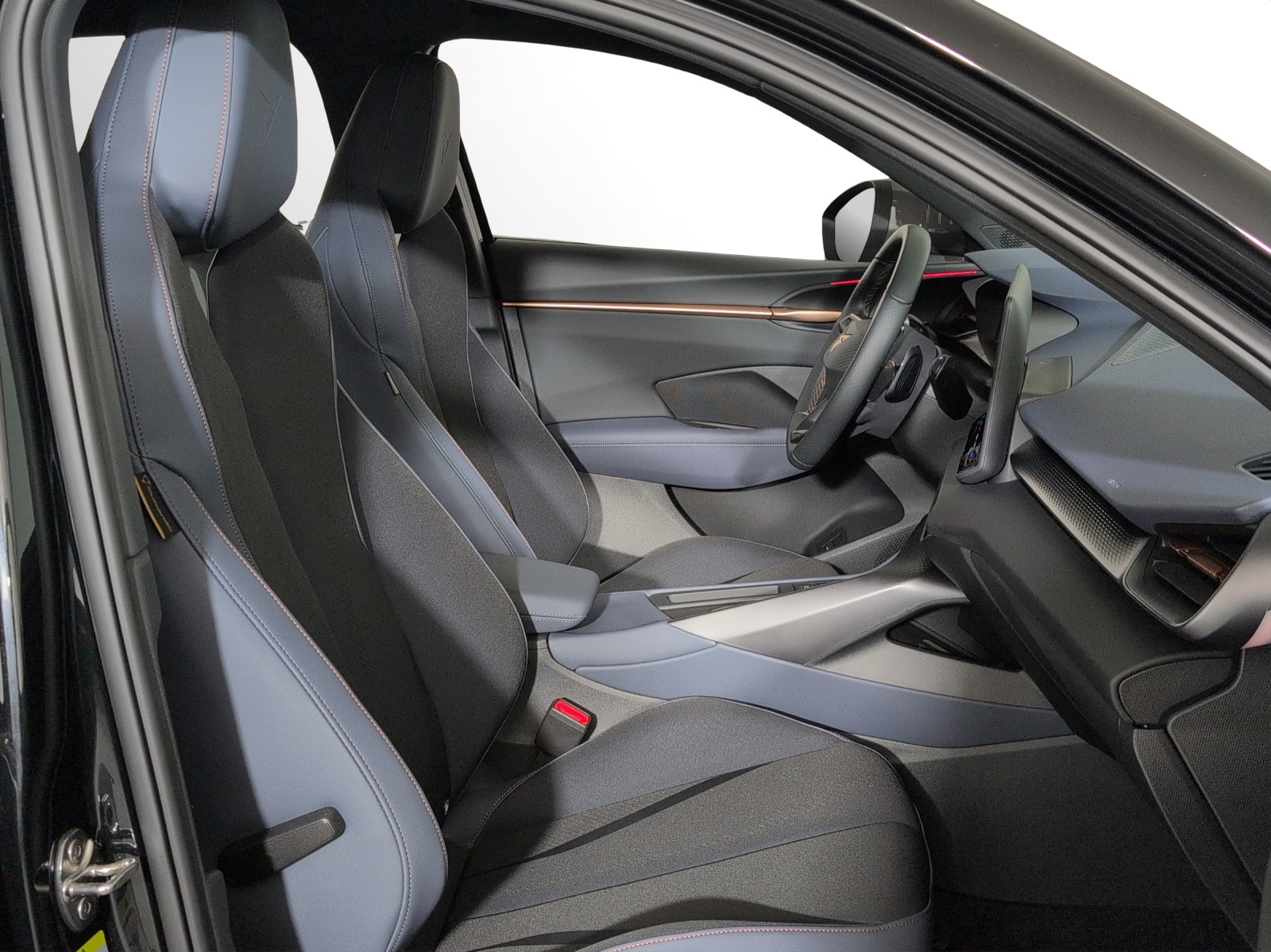 CUPRA Terramar 2.0 TSI DSG 4Drive VZ-image-6