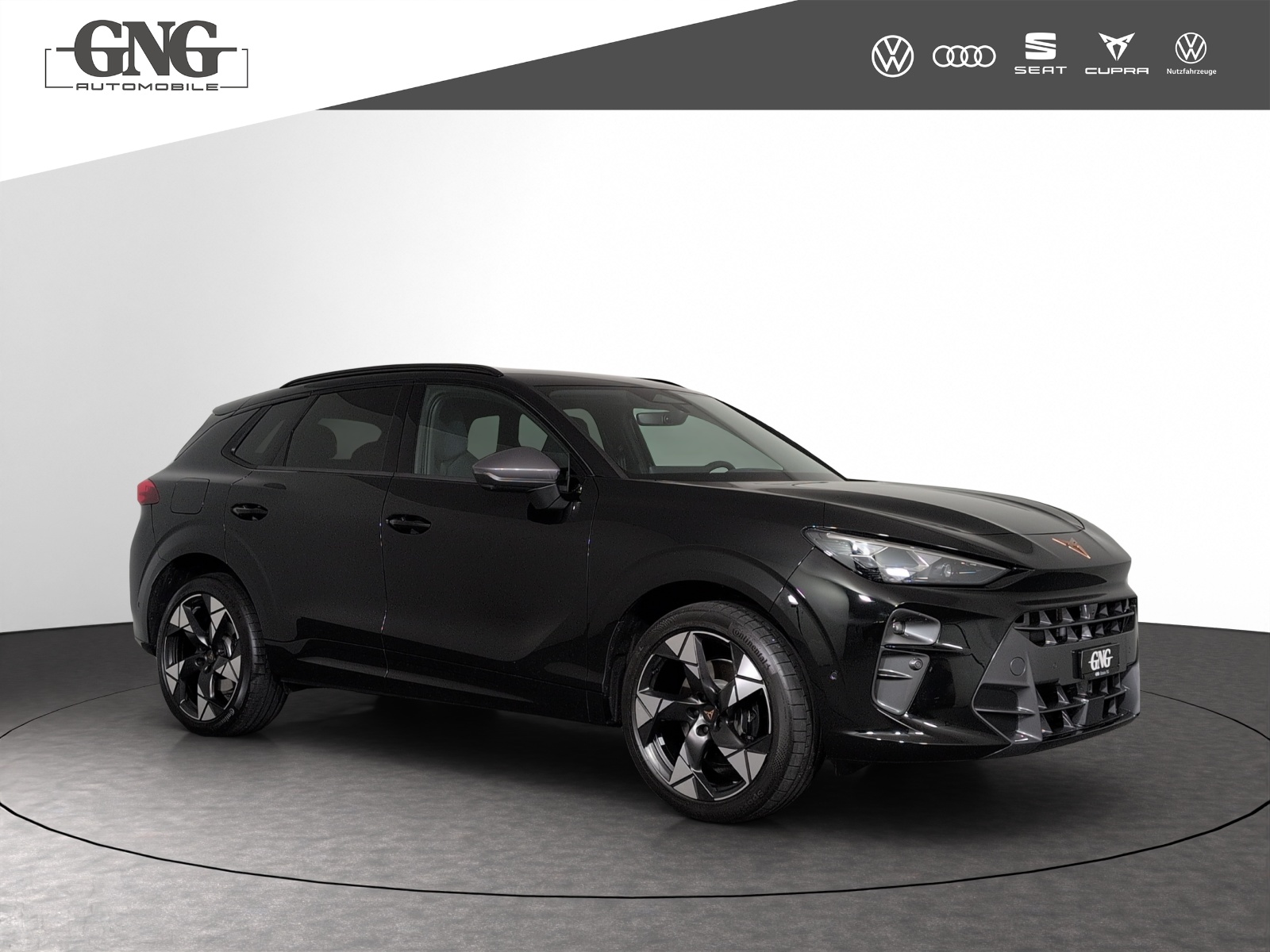 CUPRA Terramar 2.0 TSI DSG 4Drive VZ-showroom-element-3