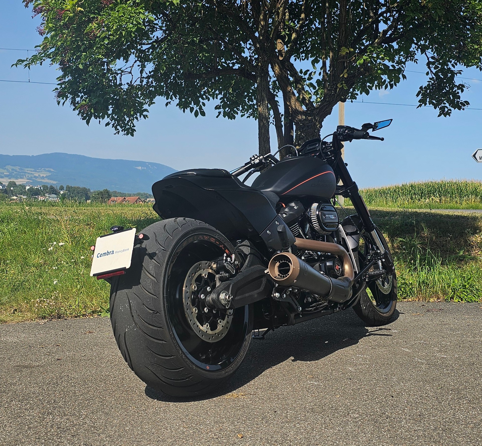 HARLEY-DAVIDSON FXDRS 114 ABS-image-4