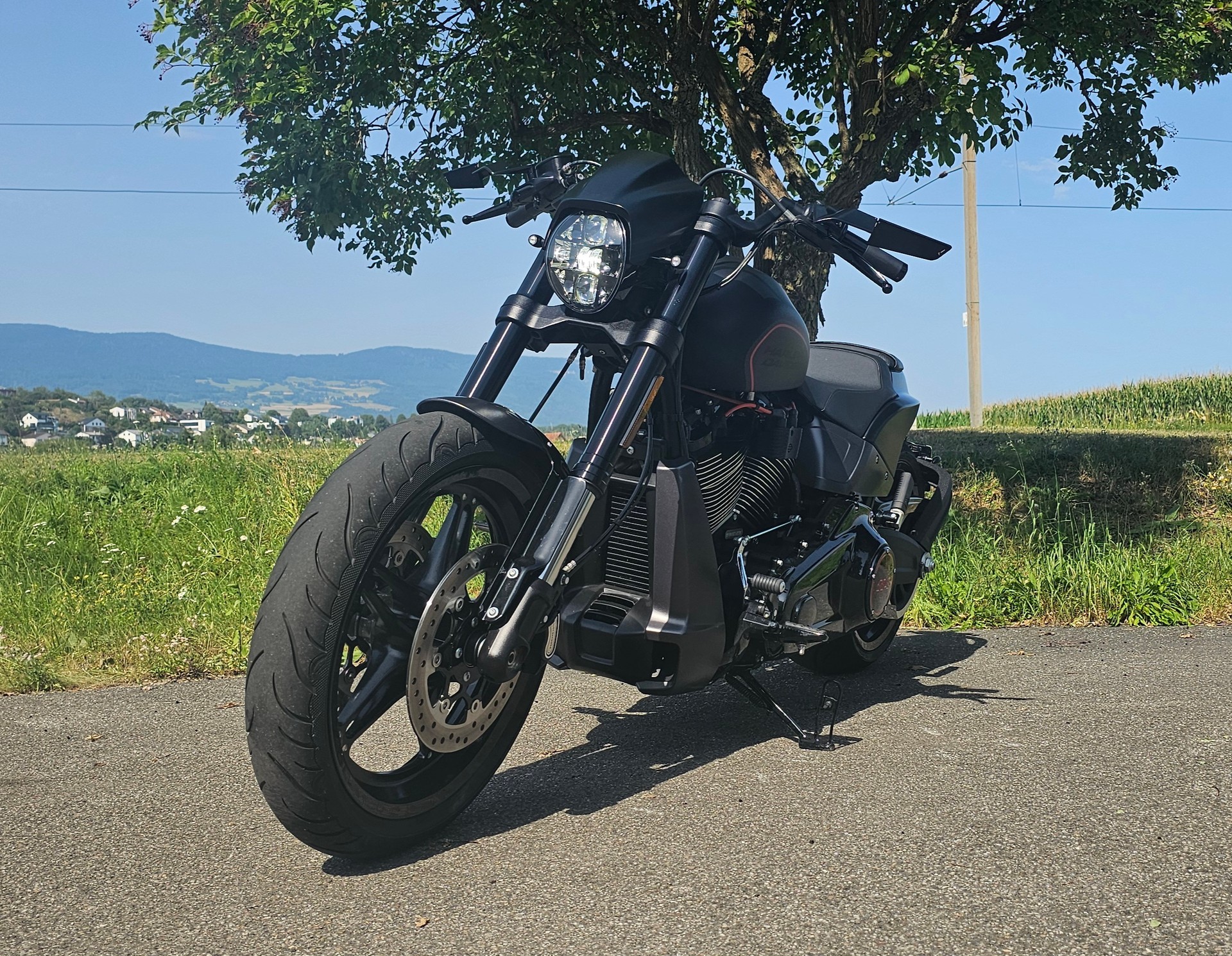HARLEY-DAVIDSON FXDRS 114 ABS-image-2