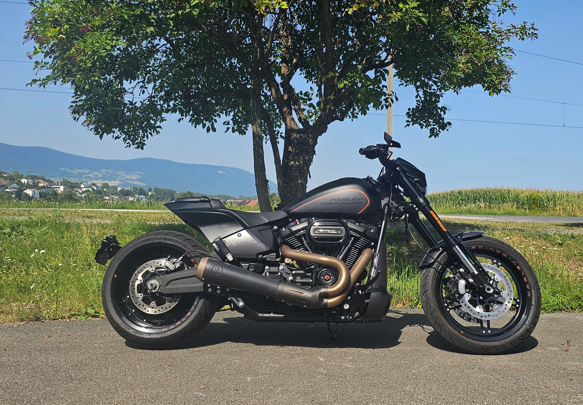 HARLEY-DAVIDSON FXDRS 114 ABS-image-3