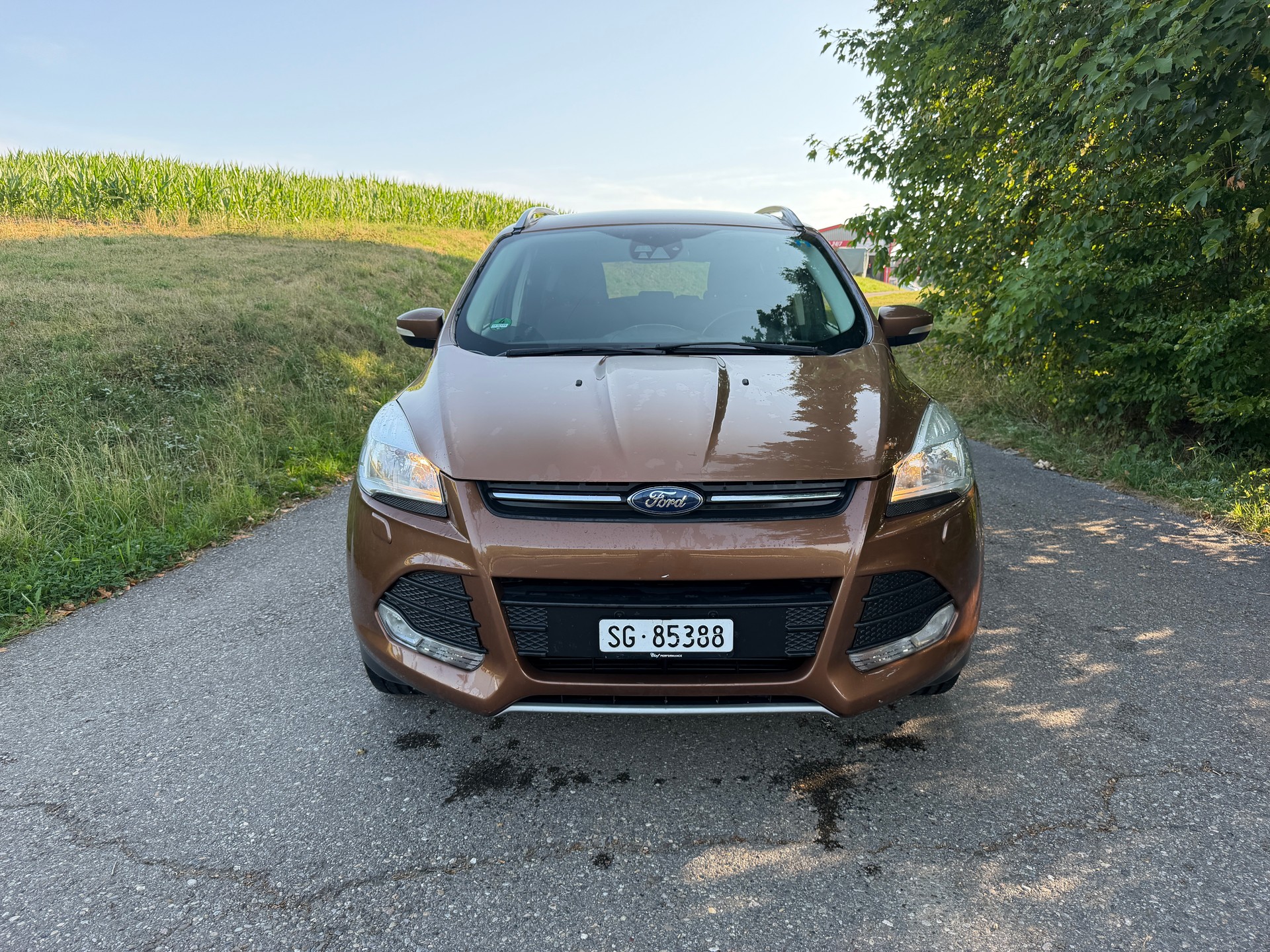 FORD Kuga 2.0 TDCi Carving 4WD PowerShift