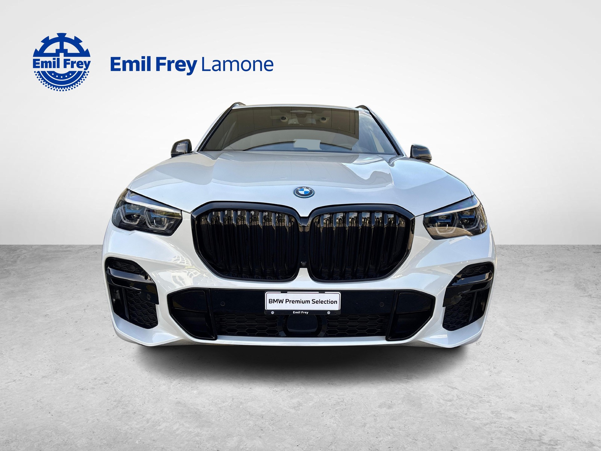 BMW X5 45e xDrive-image-7