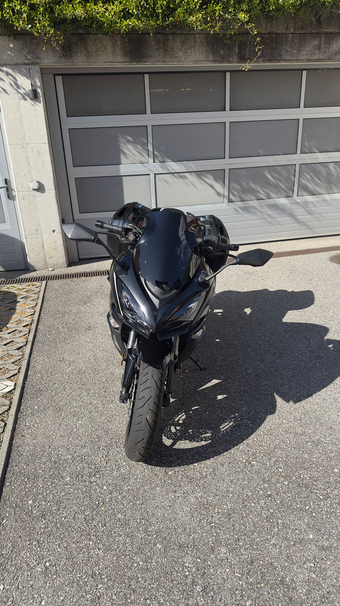 KAWASAKI SX-image-3