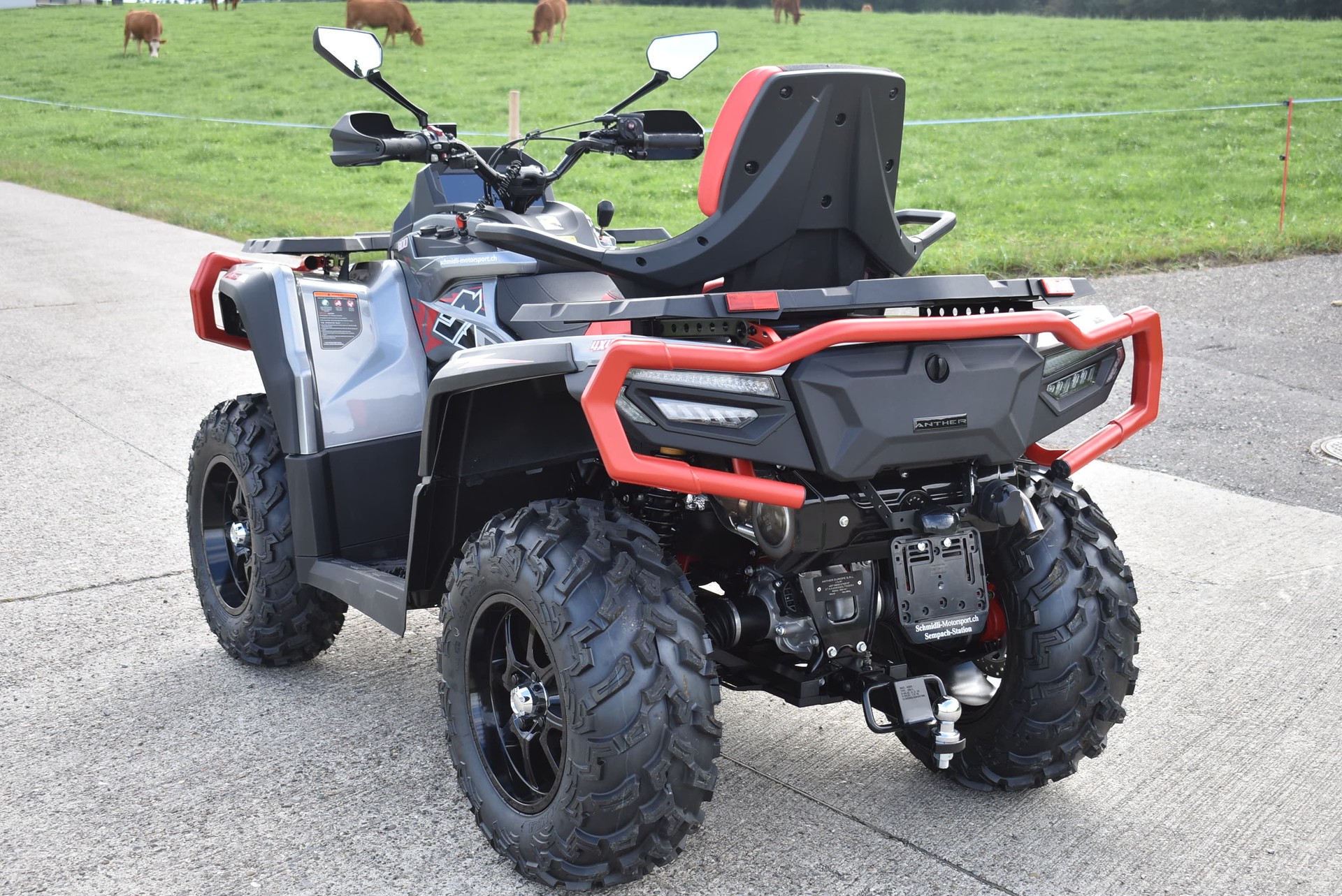ANTHER A 800 Deluxe 4x4 EPS-image-4