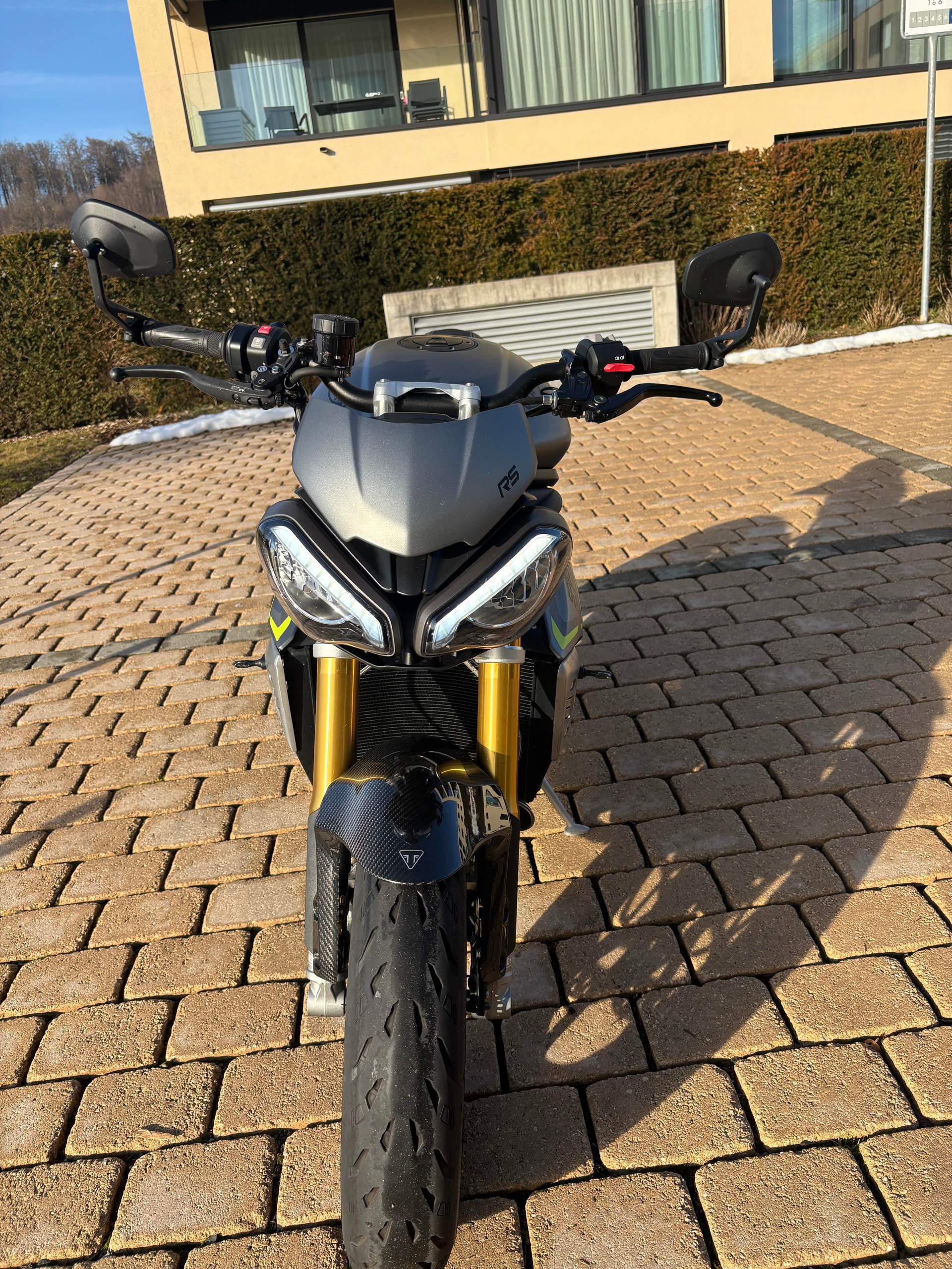 TRIUMPH Speed Triple RS-image-2