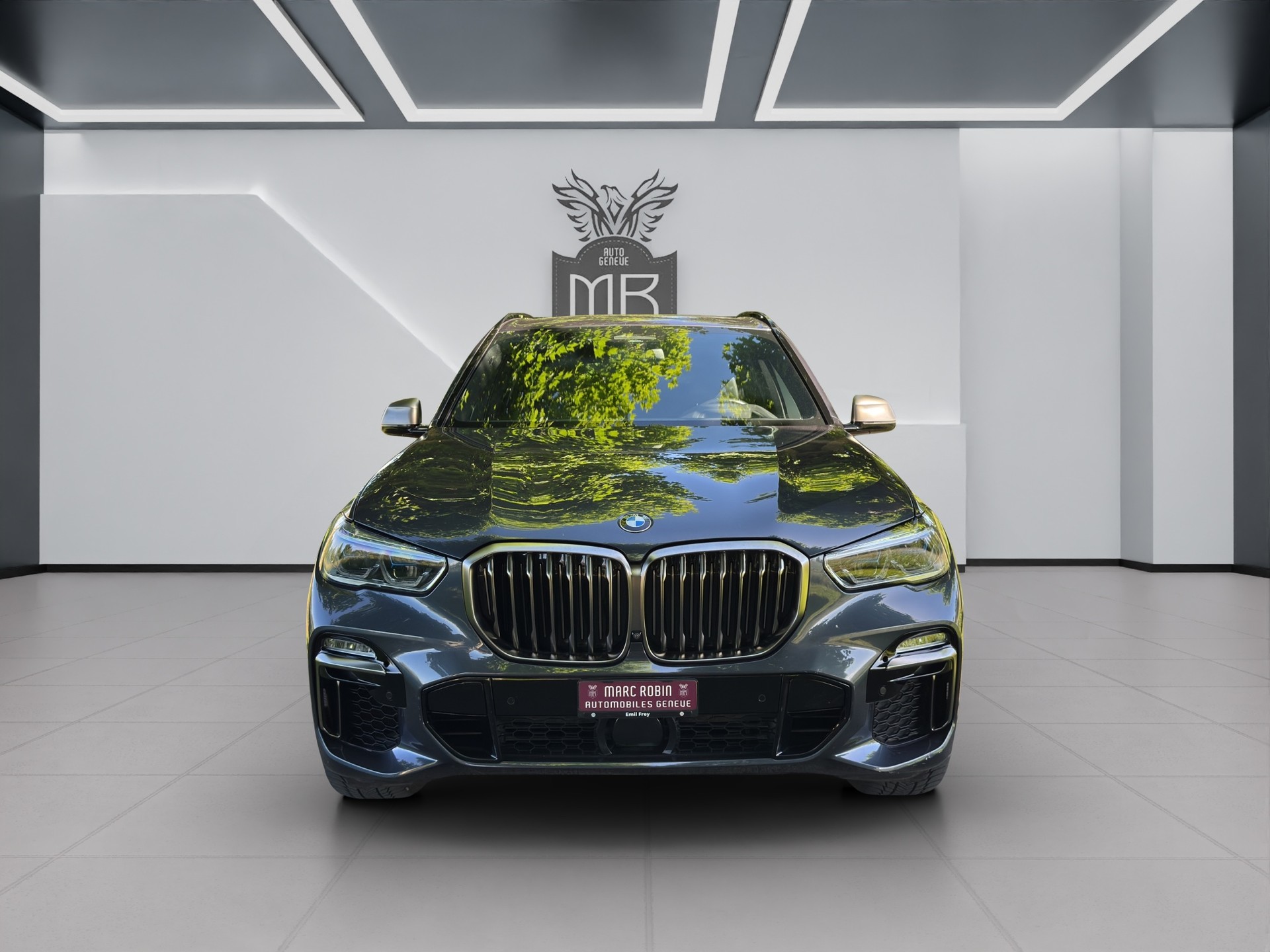 BMW X5 xDrive M50d Steptronic-showroom-element-1