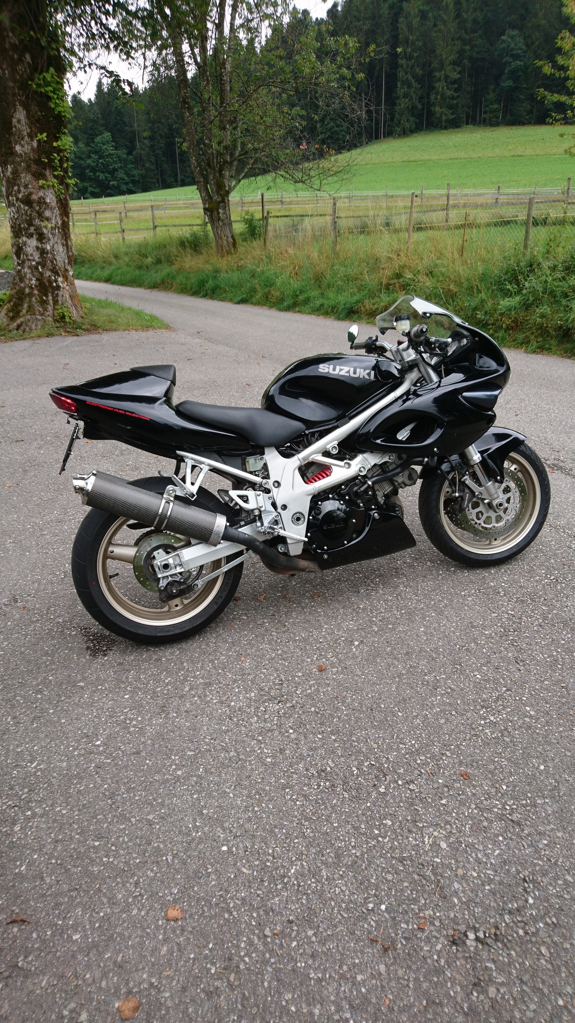 SUZUKI TL 1000 S I.E. V-image-6