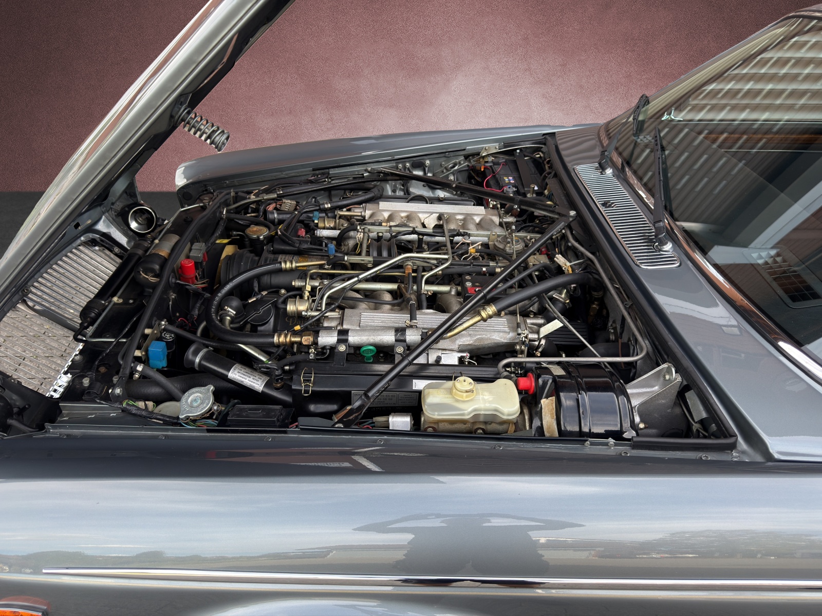 DAIMLER 5.3 Double Six-image-14