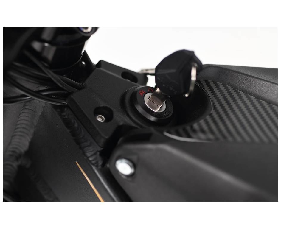 TALARIA Sting Pro L1e-image-9